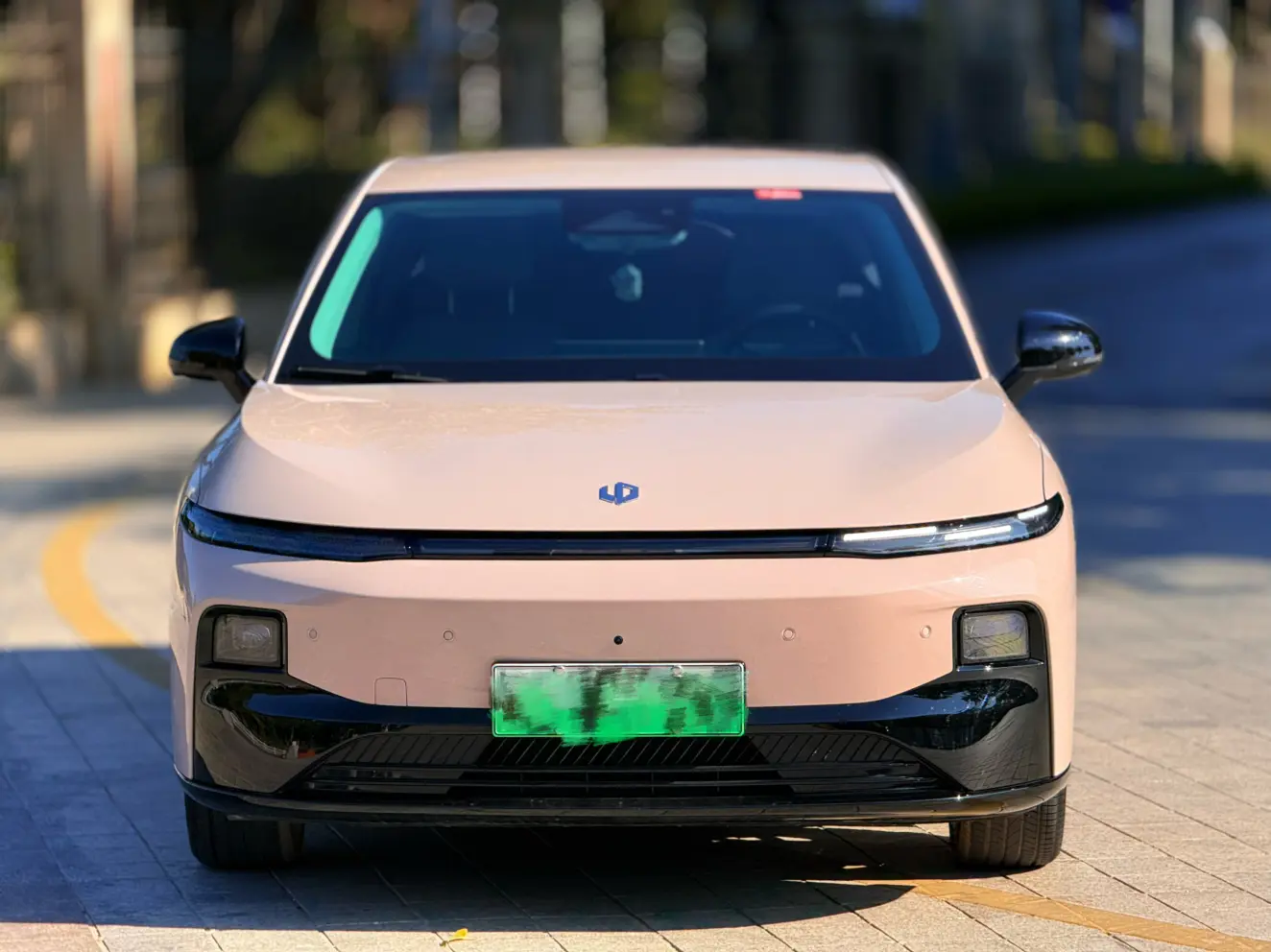 Leapmotor Leap running B01  из Китая