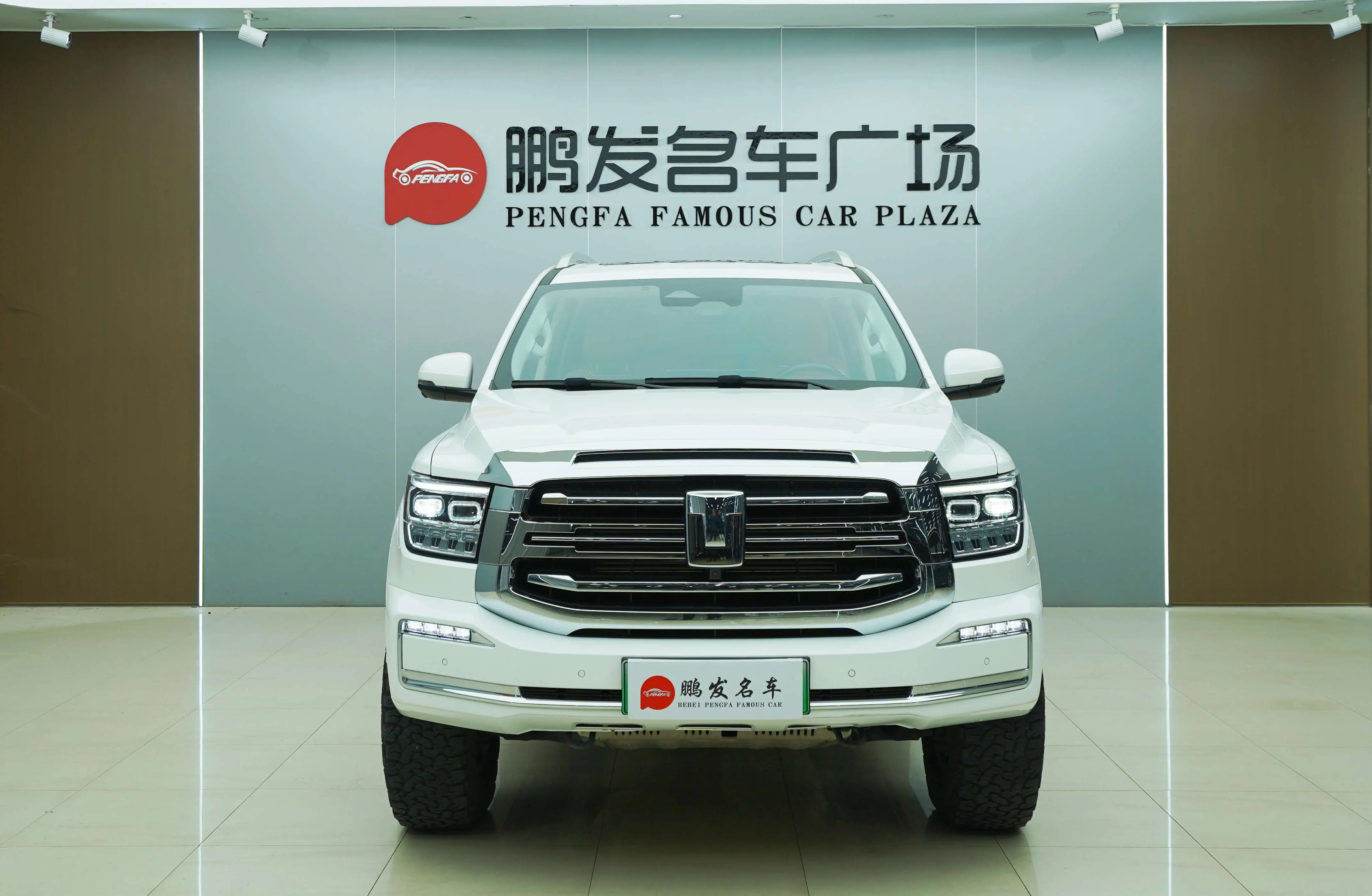 Tank 500 Hi4-T  из Китая