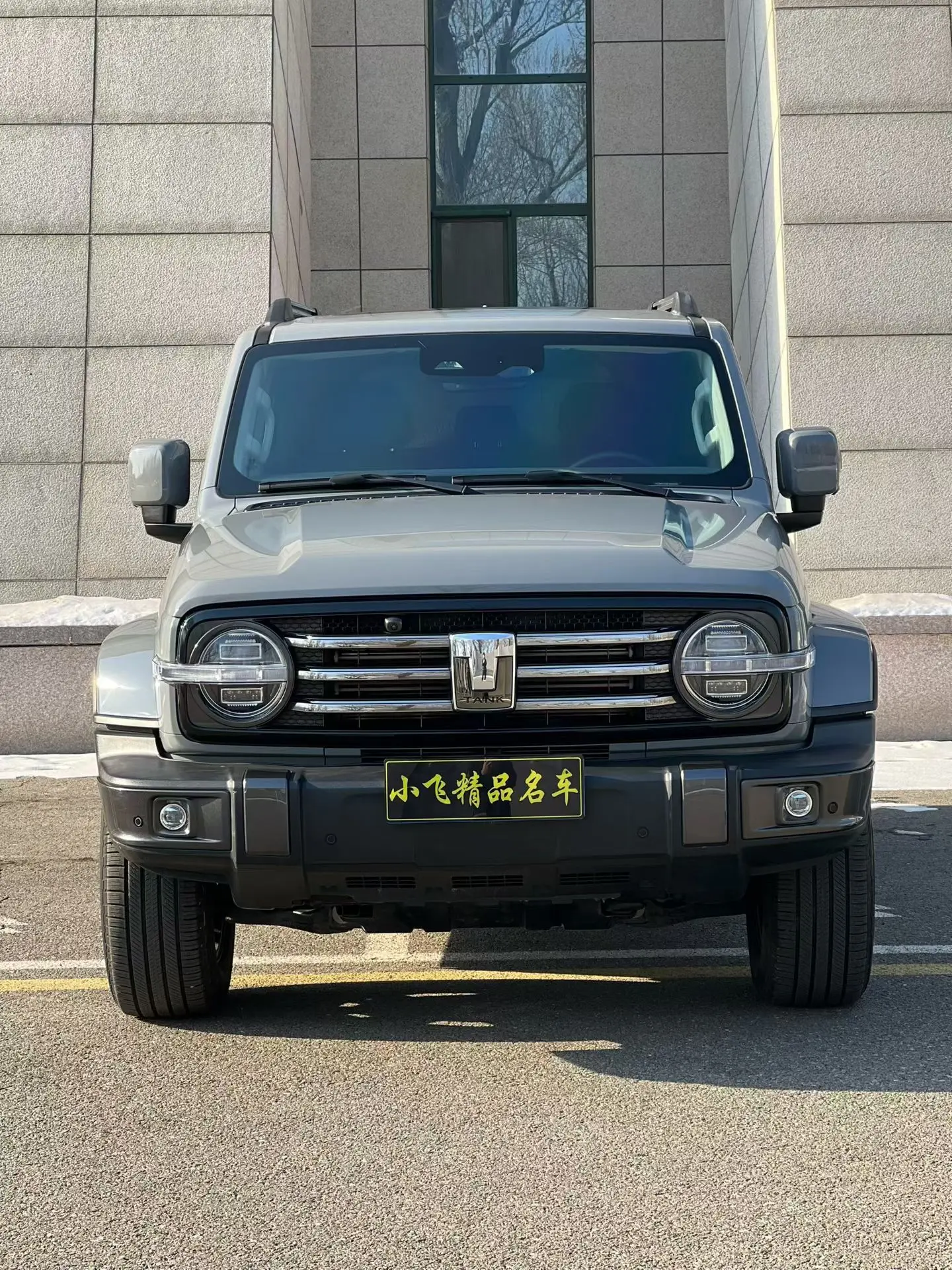 Tank 300  из Китая