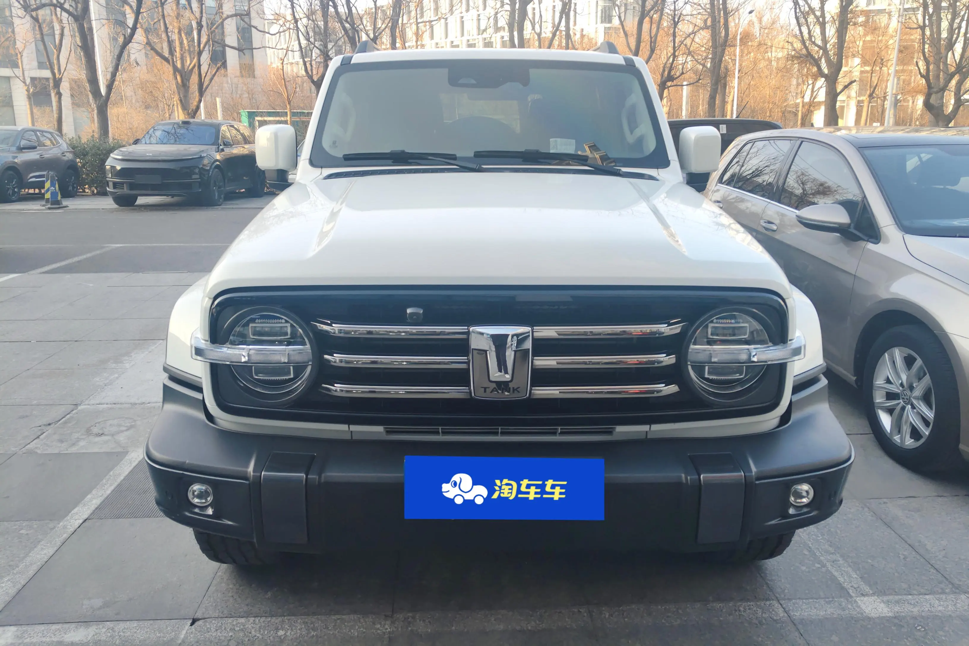 Tank 300  из Китая