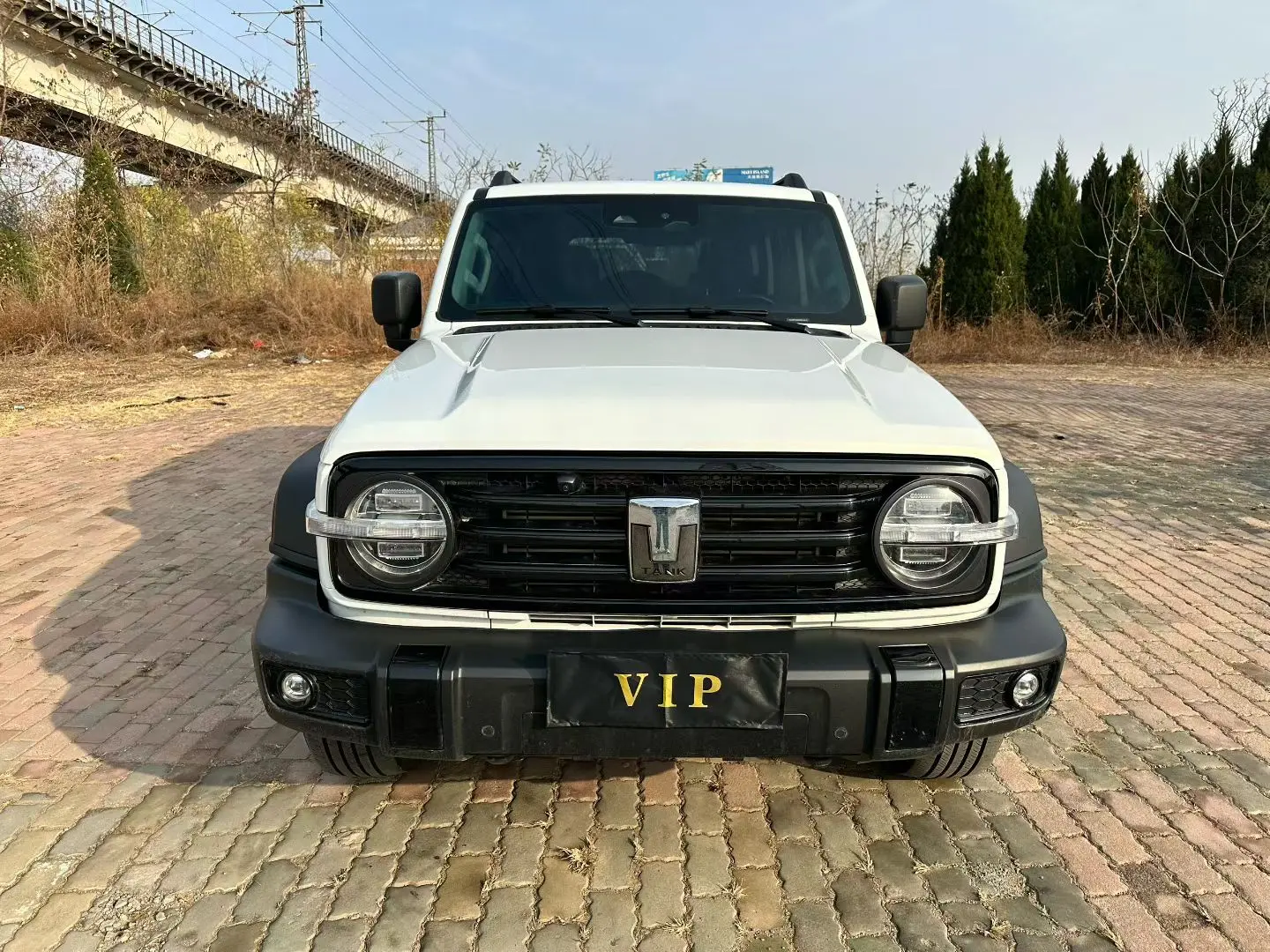 Tank 300  из Китая