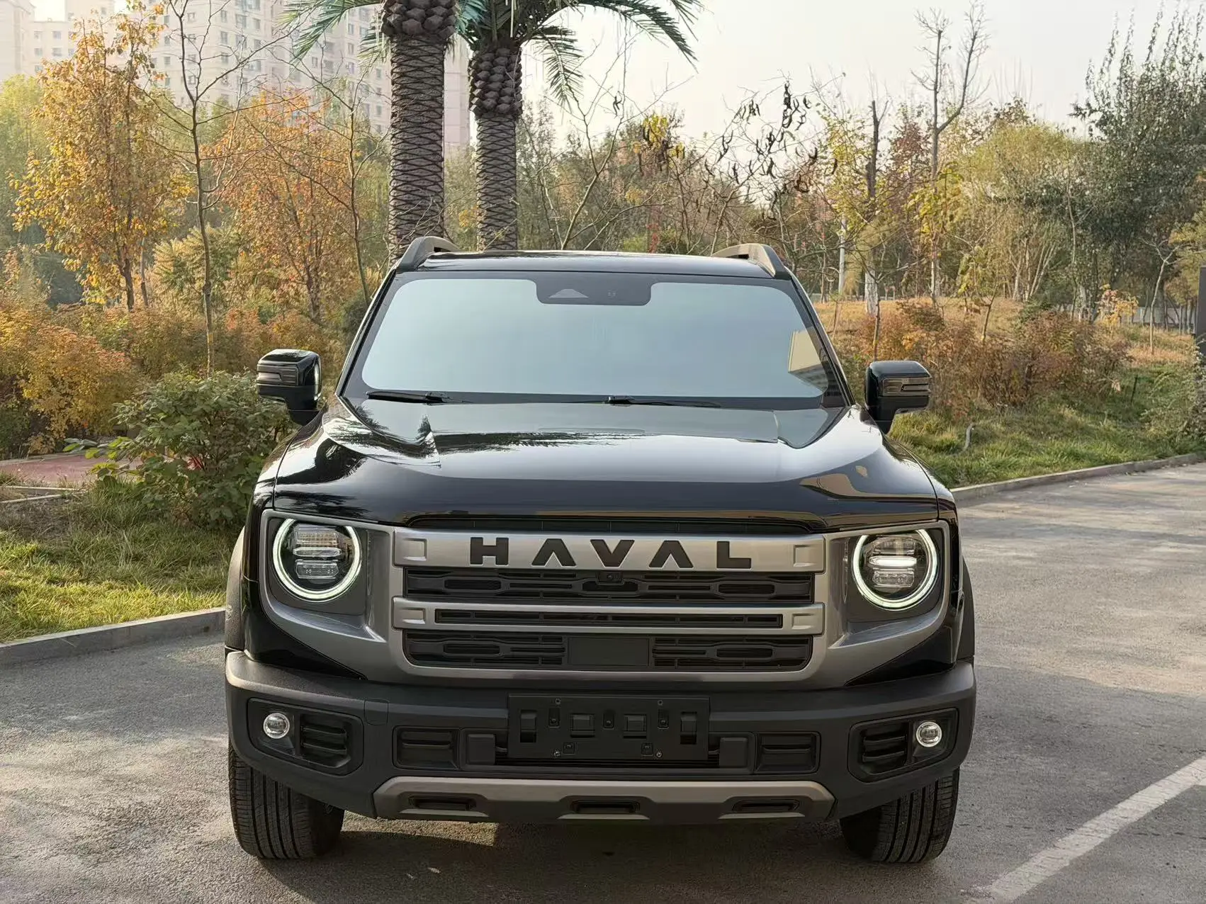 Haval Dargo  из Китая