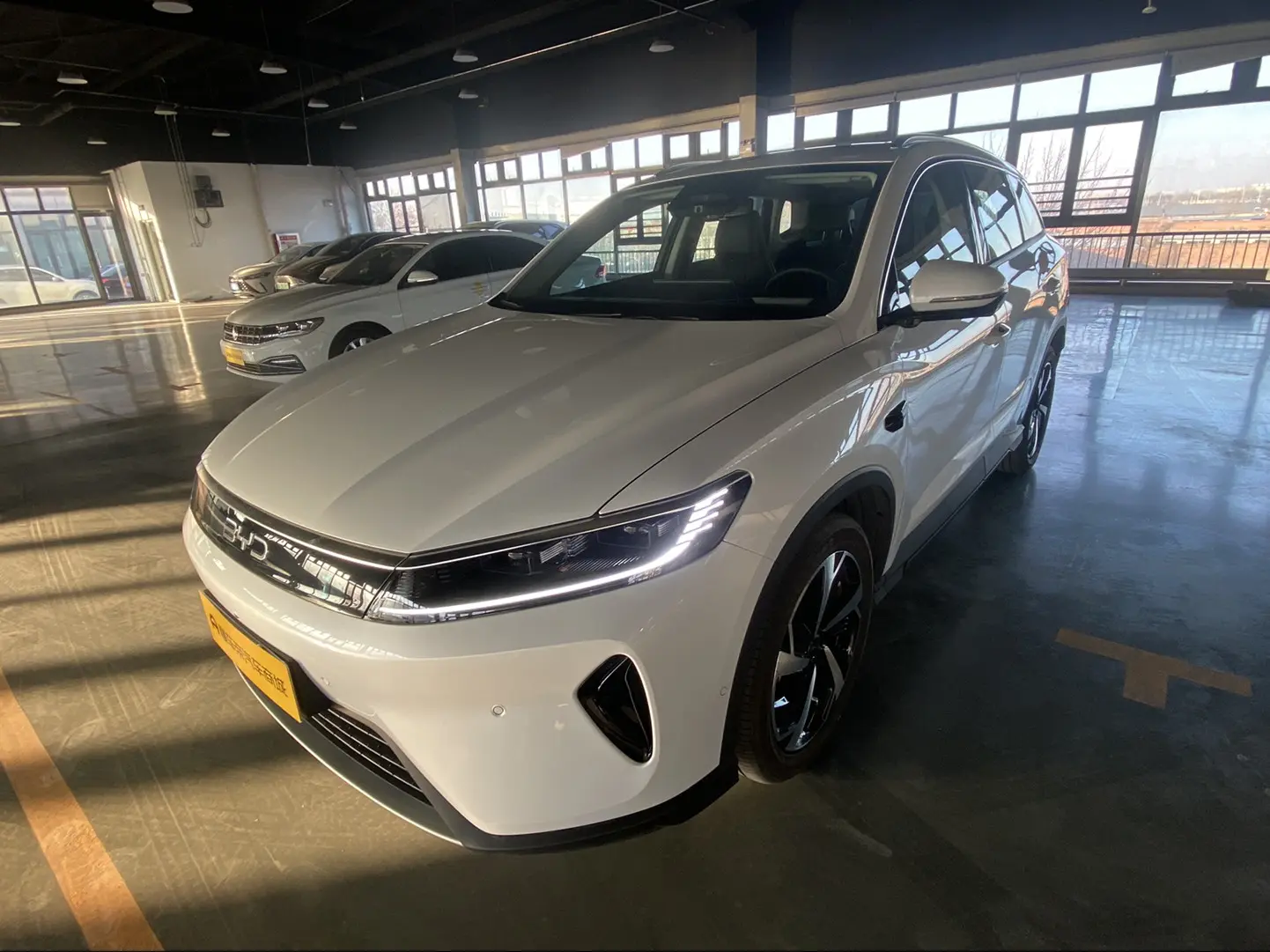 BYD Sea Lion 05DM  из Китая