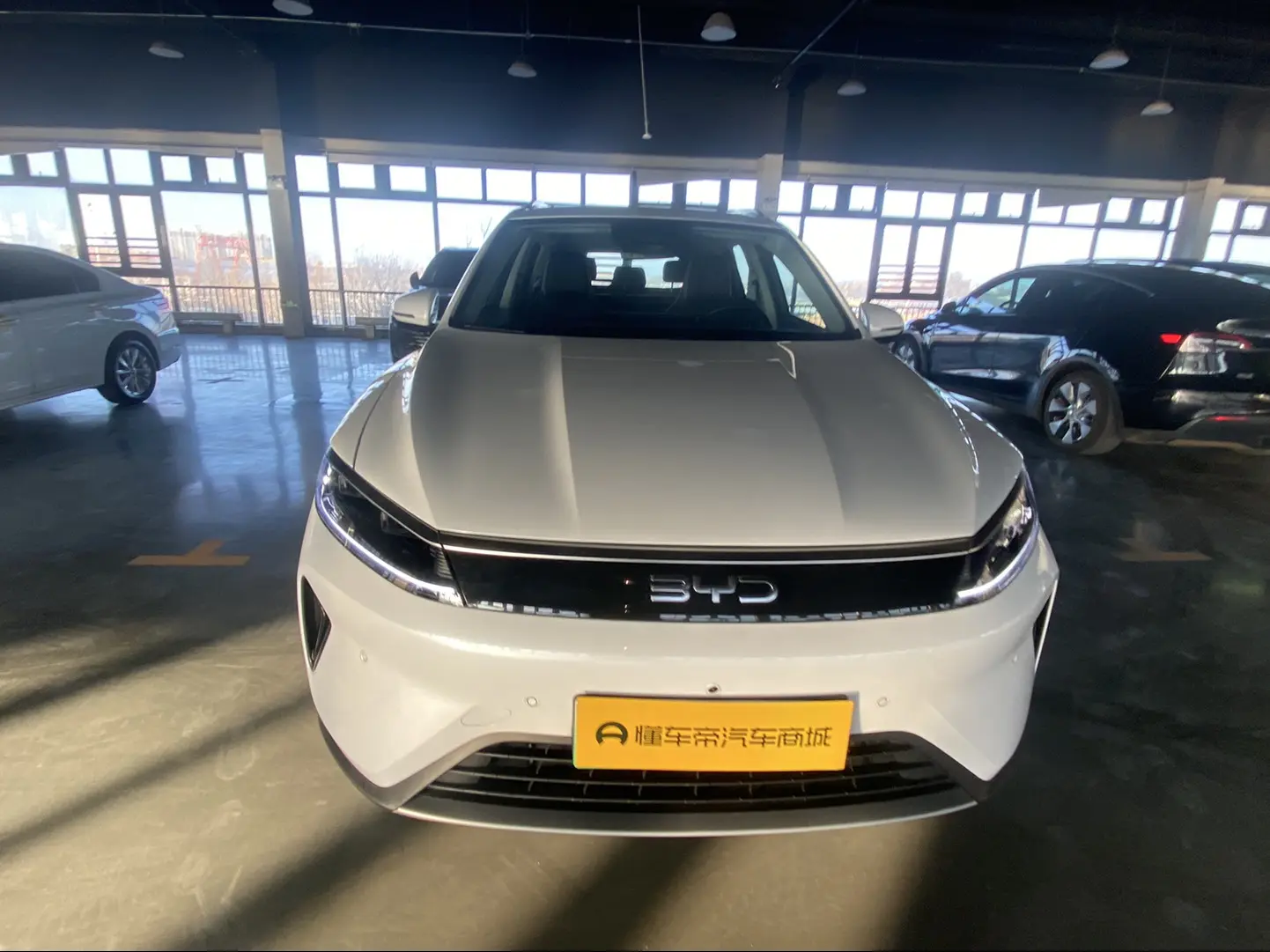 BYD Sea Lion 05DM  из Китая