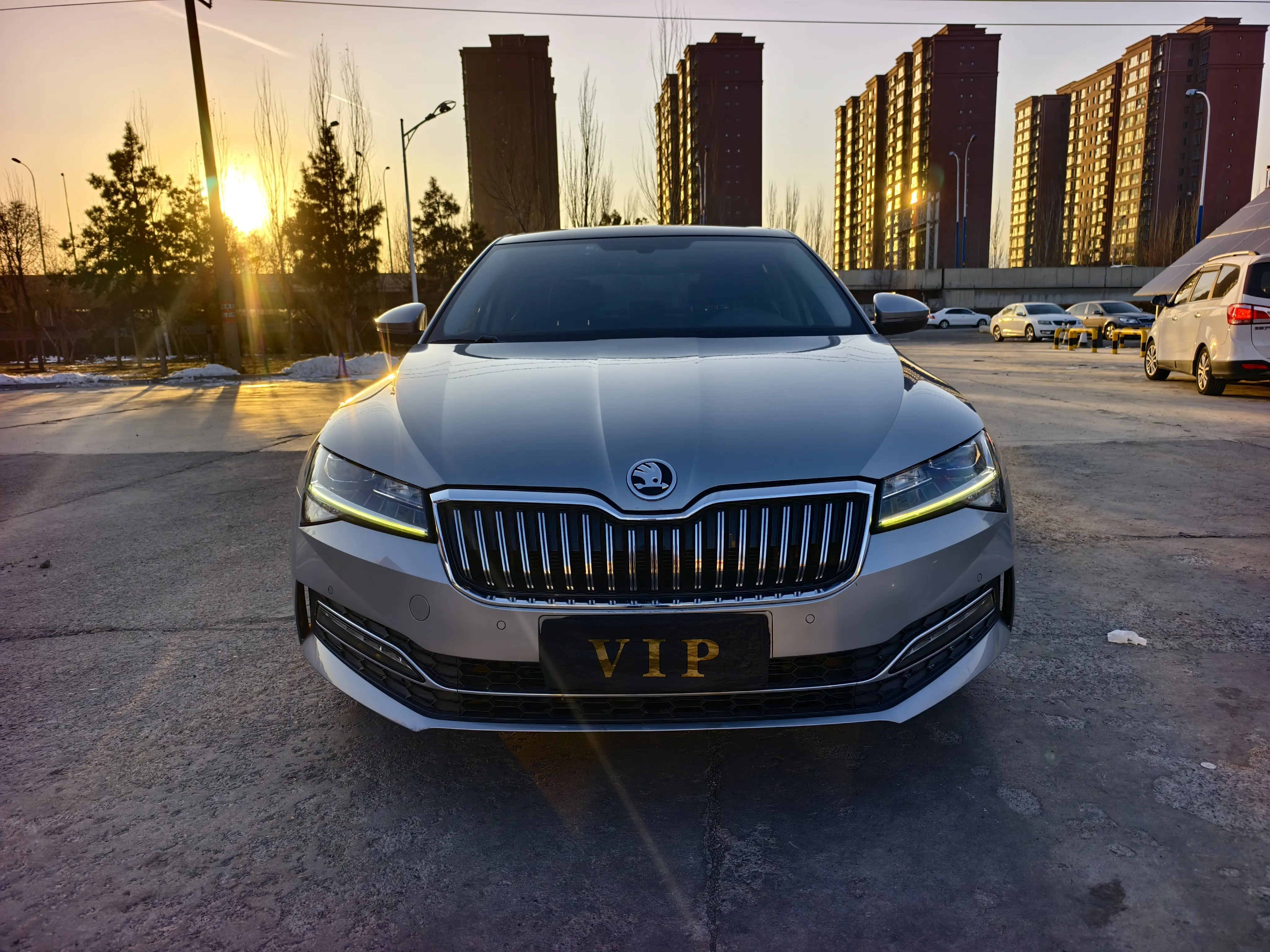 Skoda Speedy  из Китая