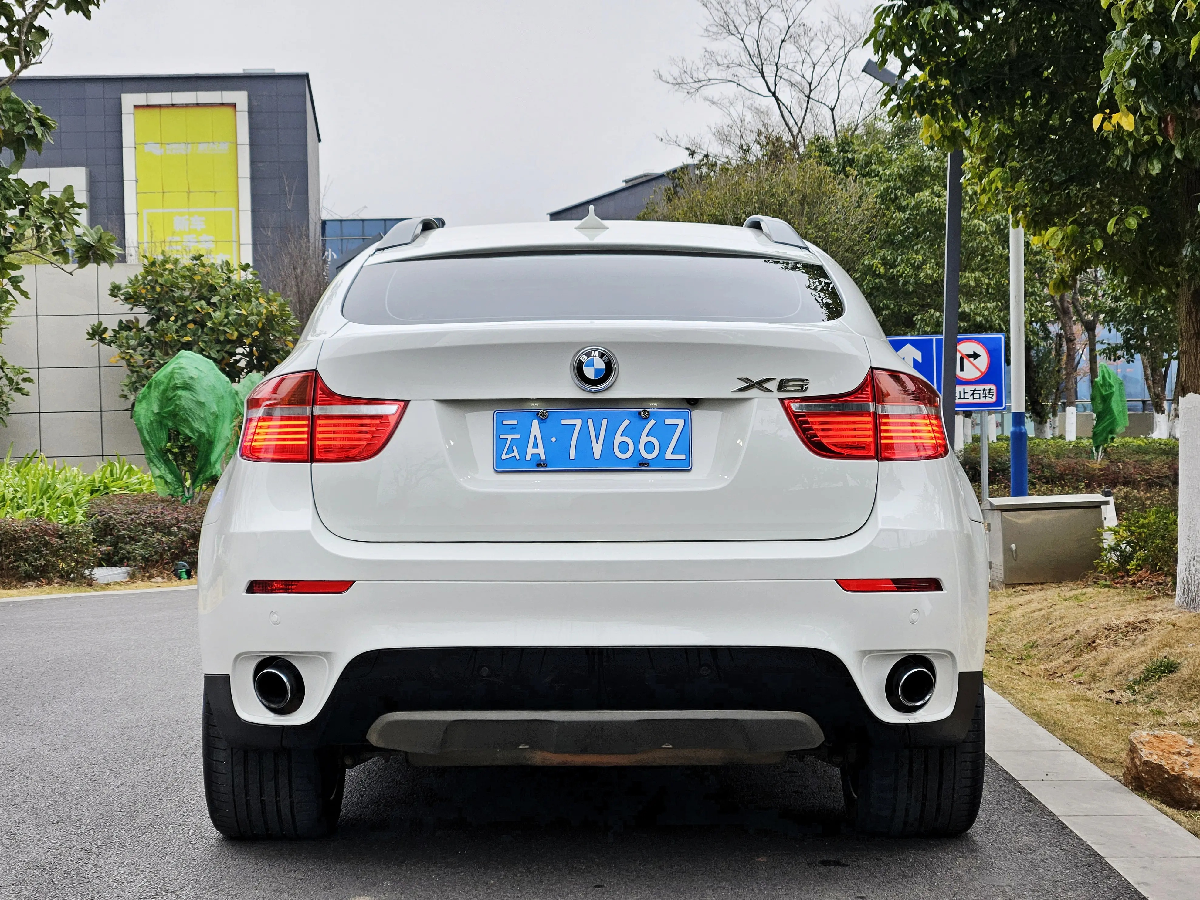 BMW X6