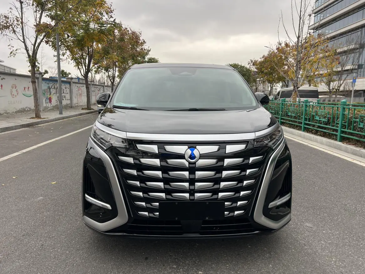 Denza D9 DM  из Китая