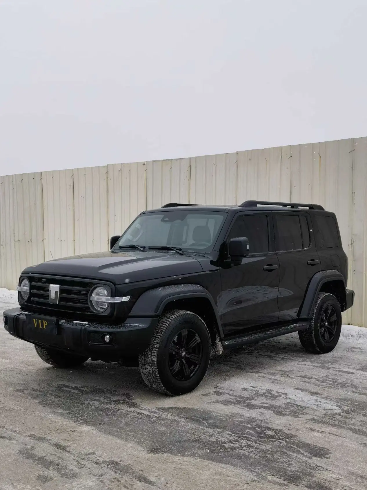 Tank 300  из Китая