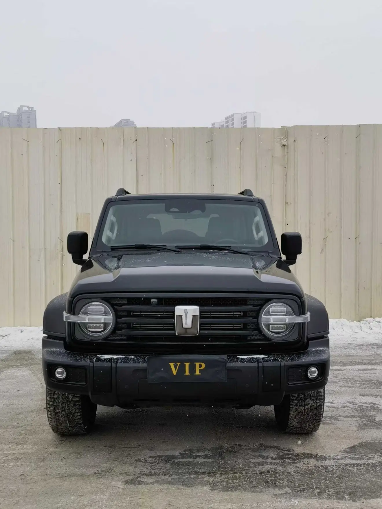 Tank 300  из Китая