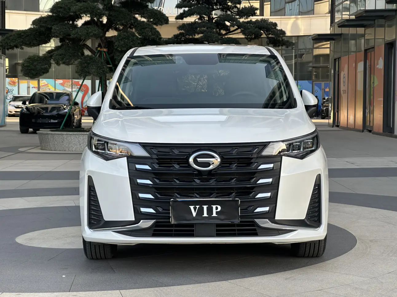 GAC Trumpchi M6  из Китая