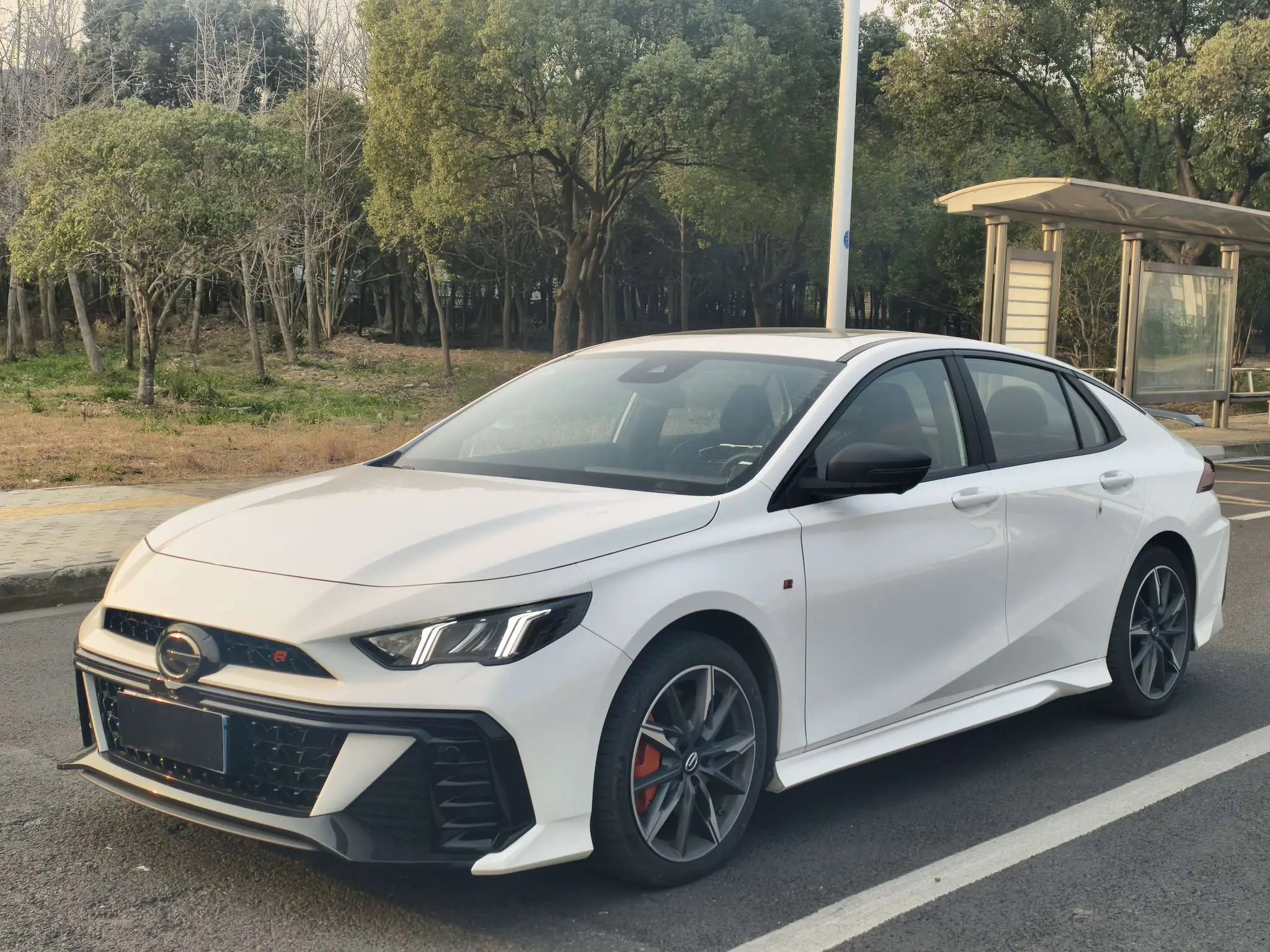 GAC Shadow Leopard  из Китая