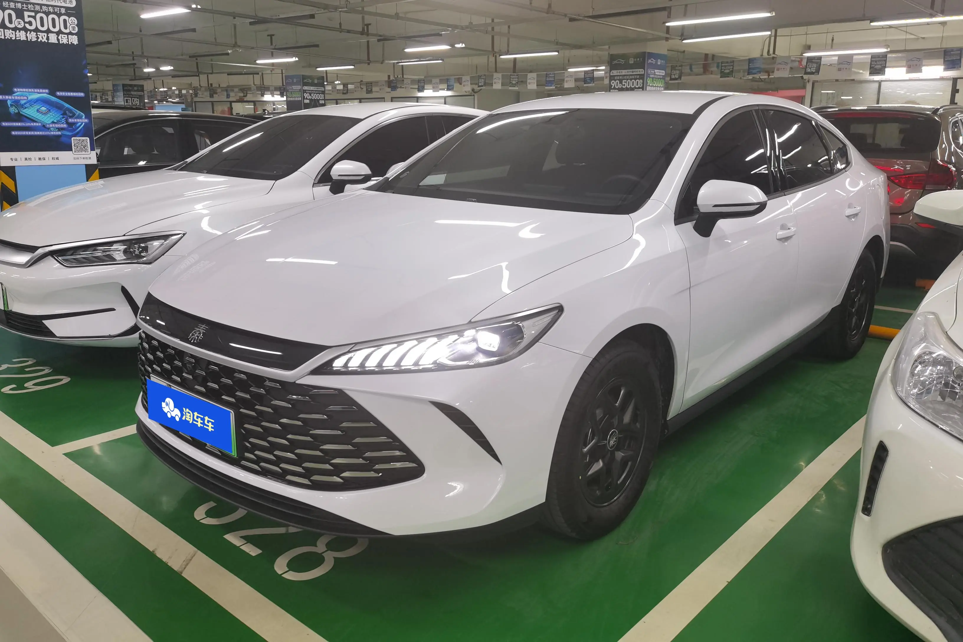 BYD Qin PLUS DM  из Китая