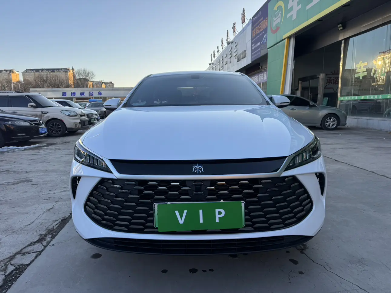 BYD Qin PLUS DM  из Китая