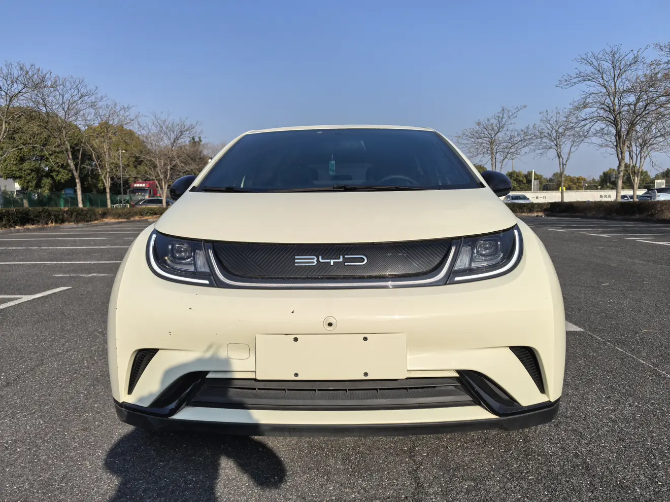 BYD Dolphin  из Китая