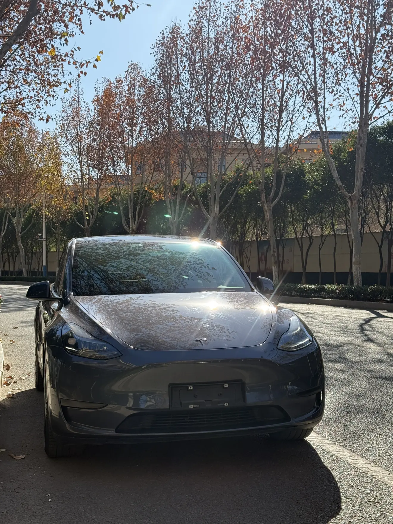 Tesla Model Y  из Китая