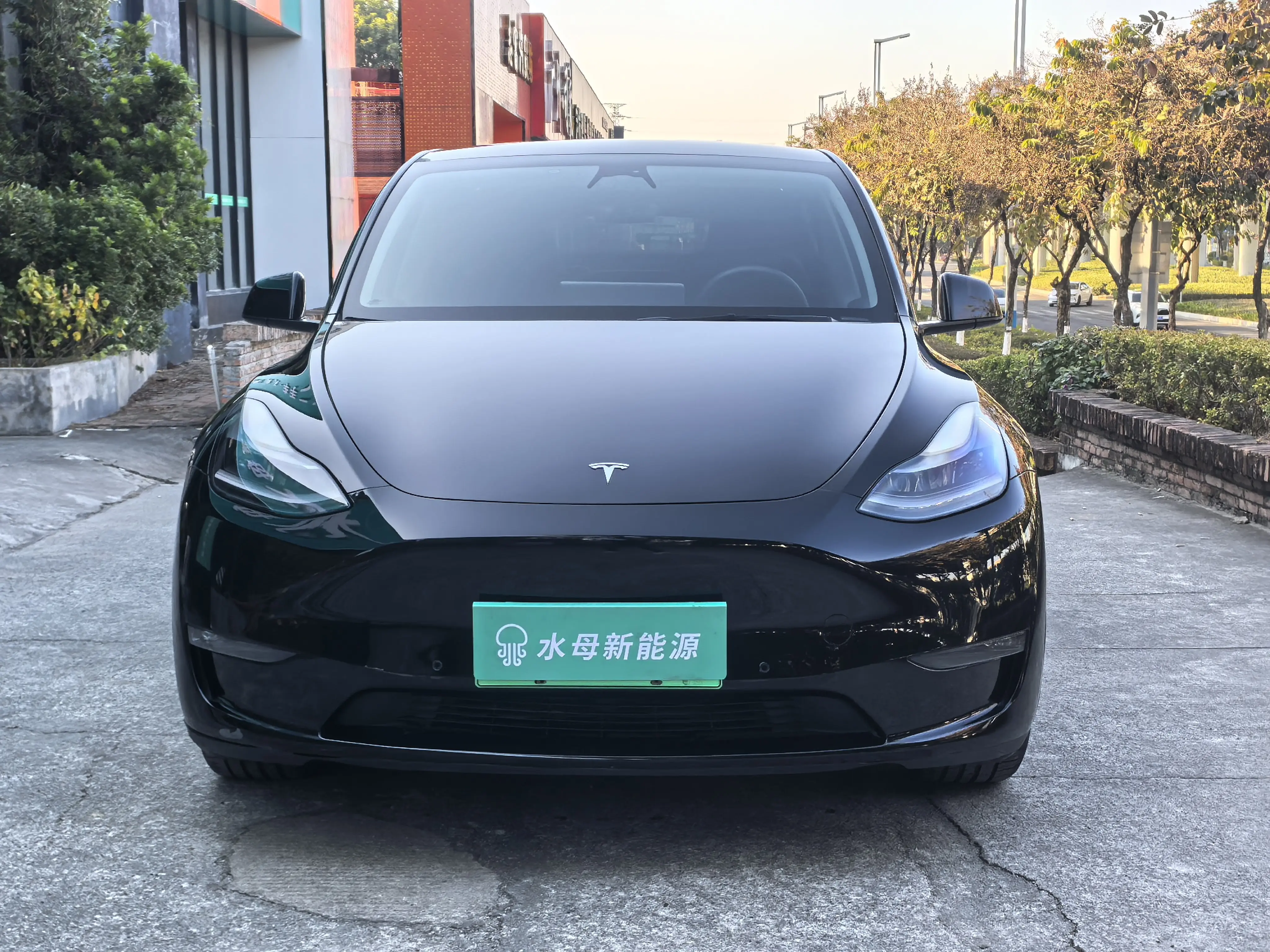 Tesla Model Y  из Китая