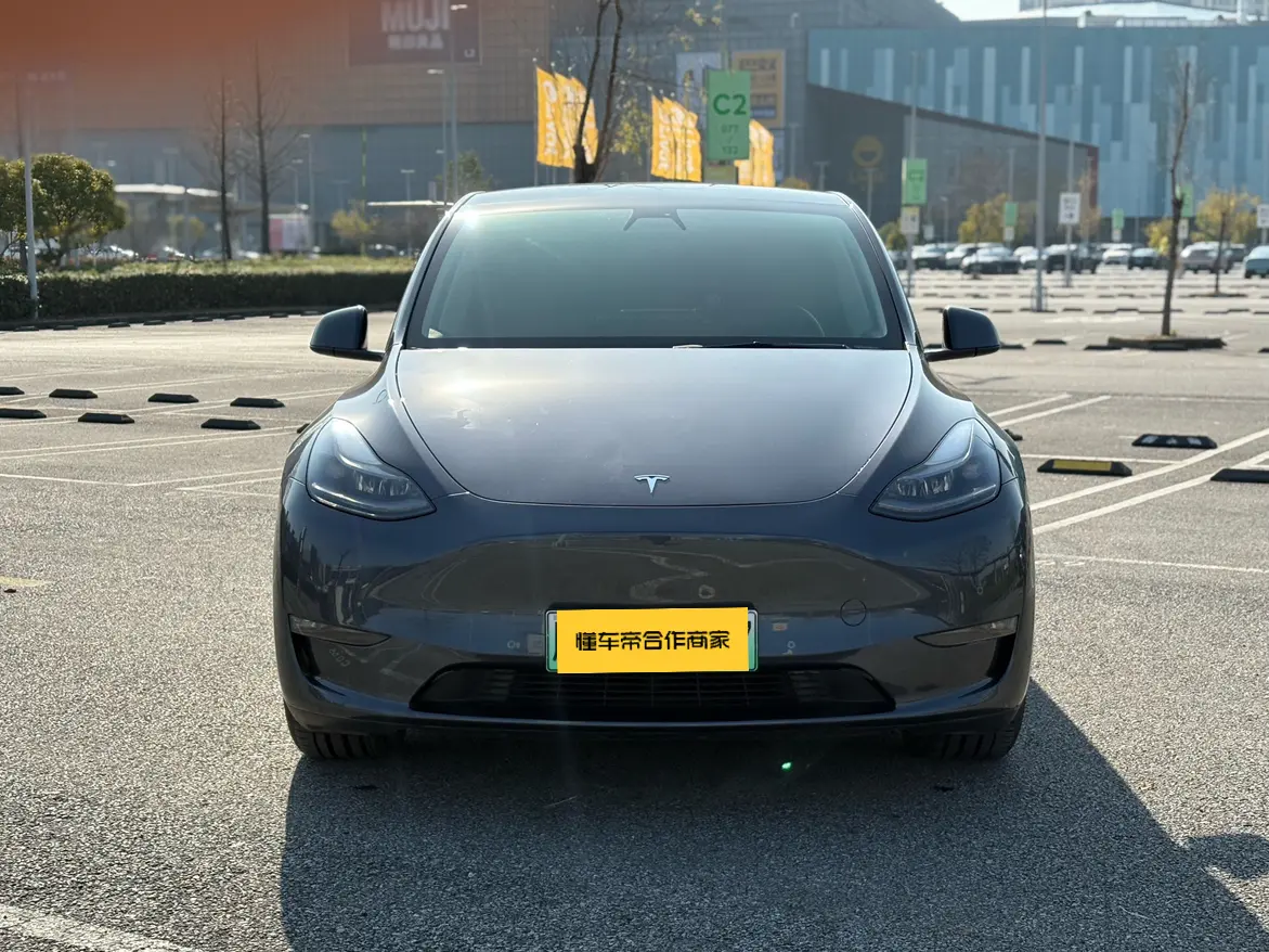 Tesla Model Y  из Китая