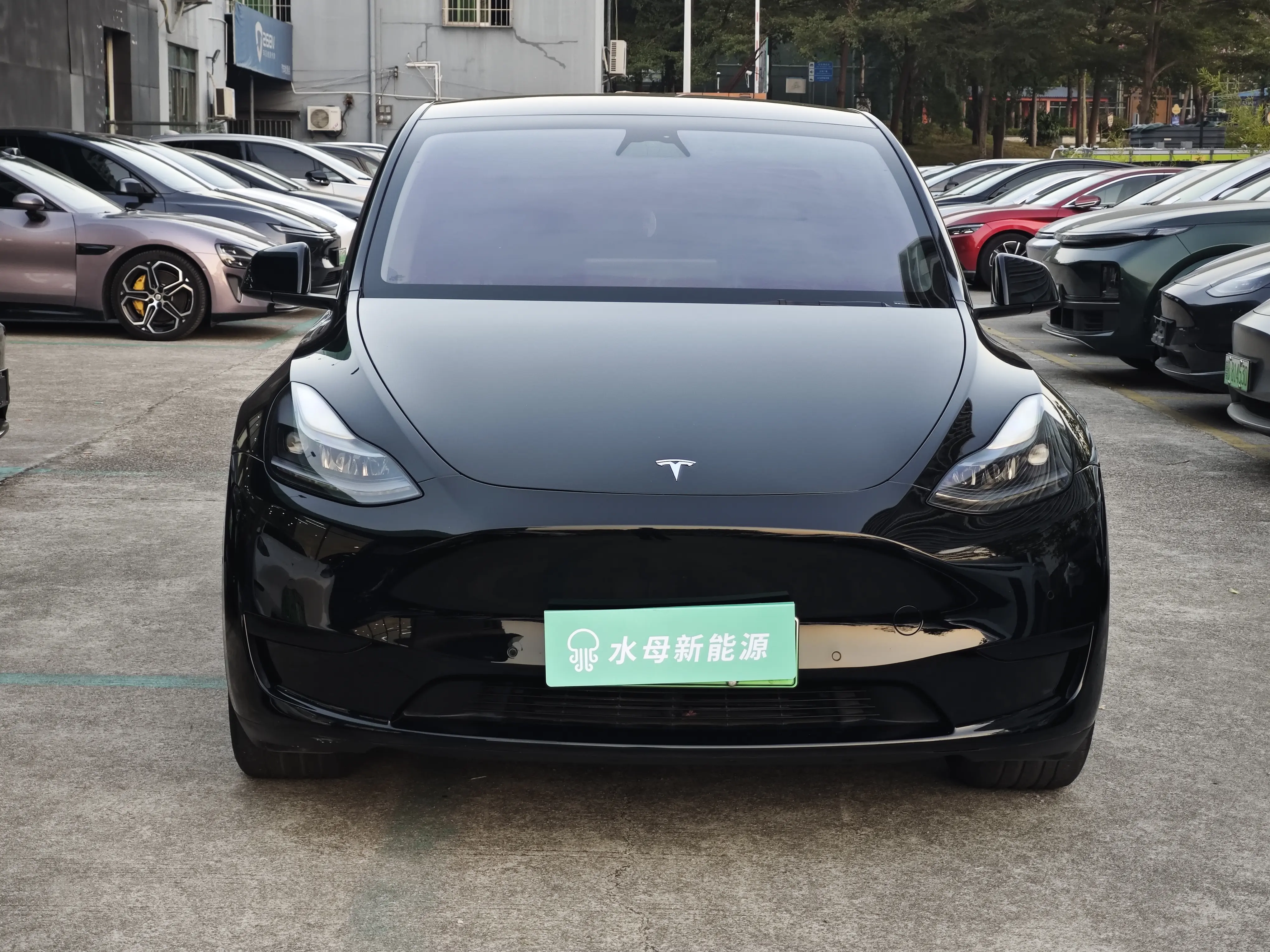 Tesla Model Y  из Китая
