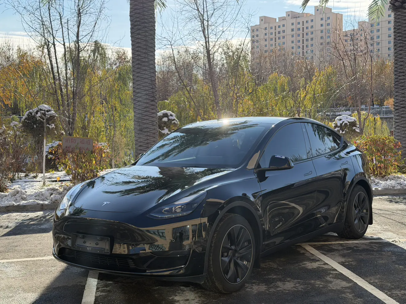 Tesla Model Y  из Китая