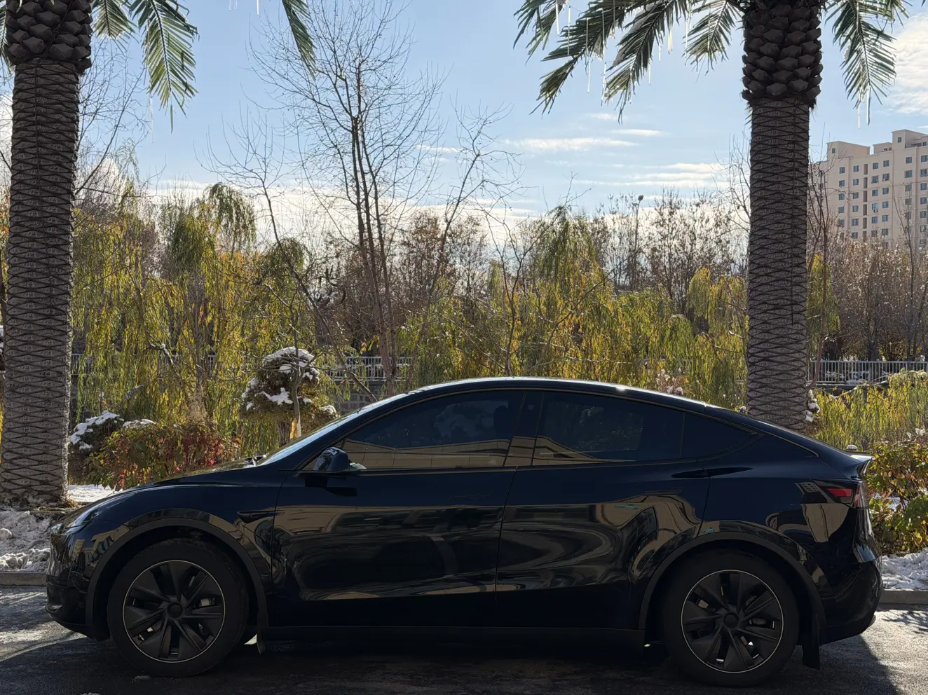 Tesla Model Y  из Китая