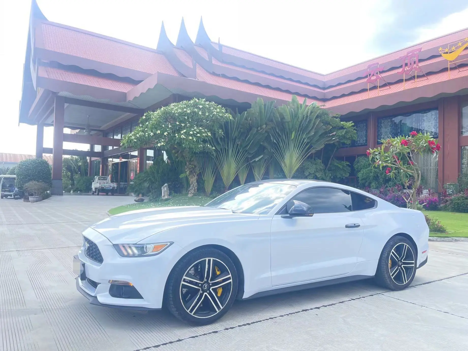 Ford Mustang  из Китая