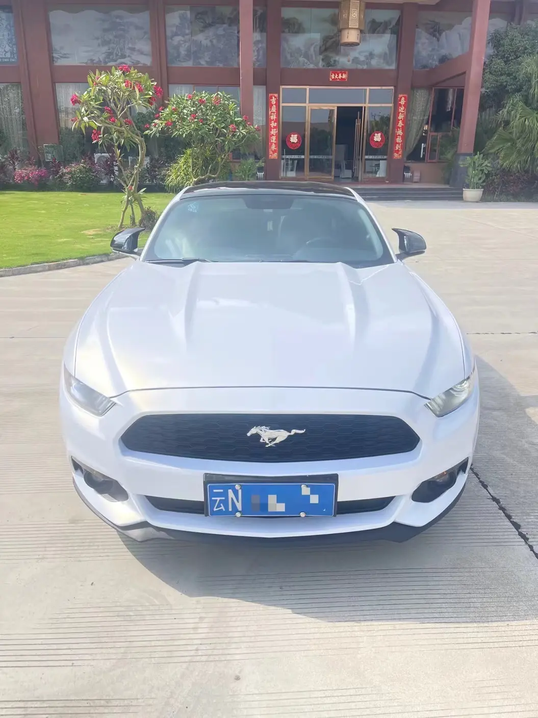 Ford Mustang  из Китая