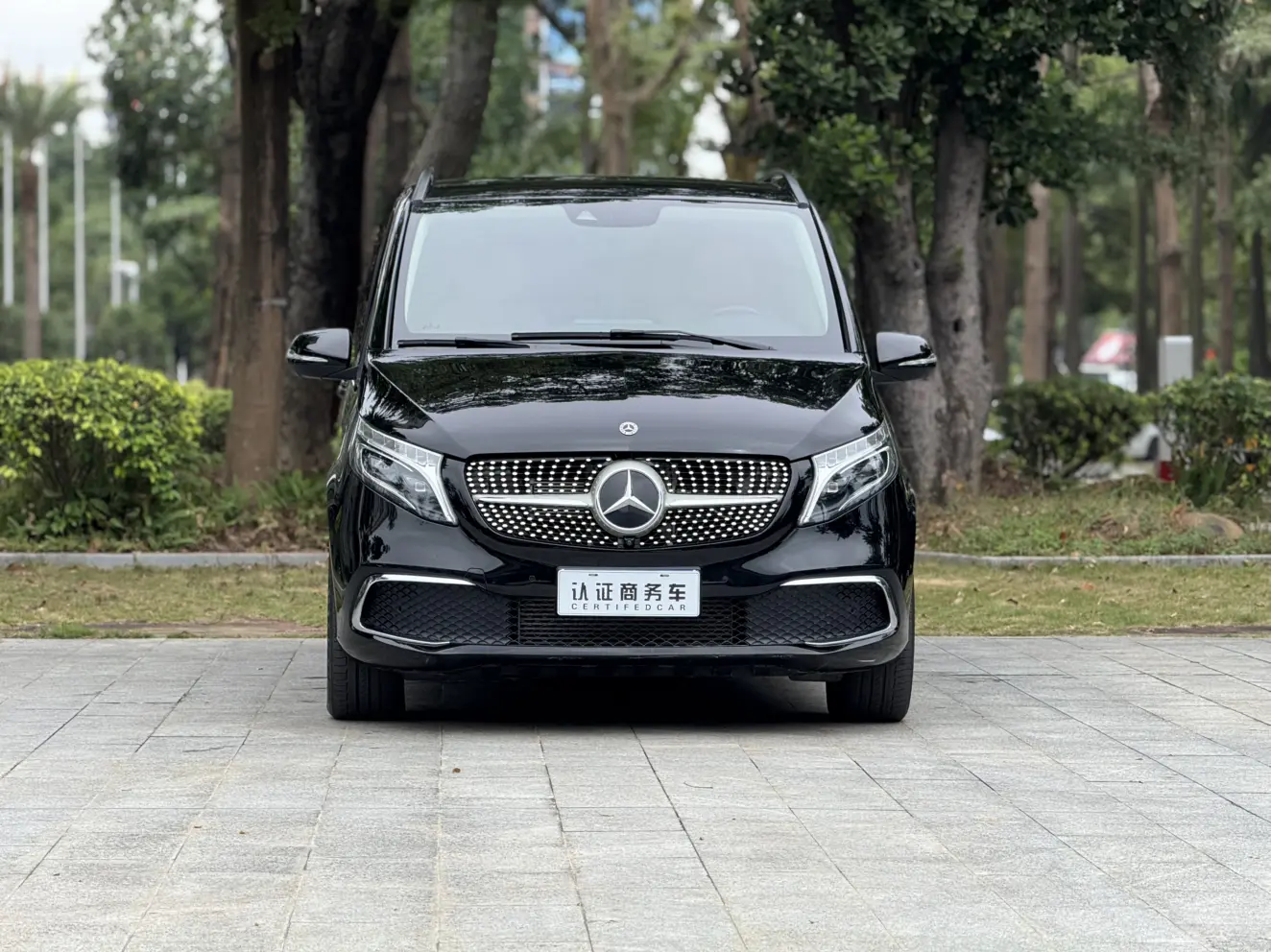 Mercedes-Benz Mercedes Benz V Class  из Китая