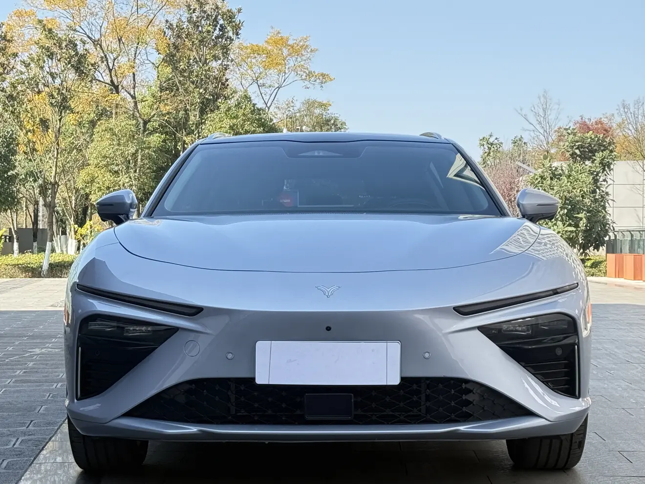 NETA Nezha S hunting suit  из Китая