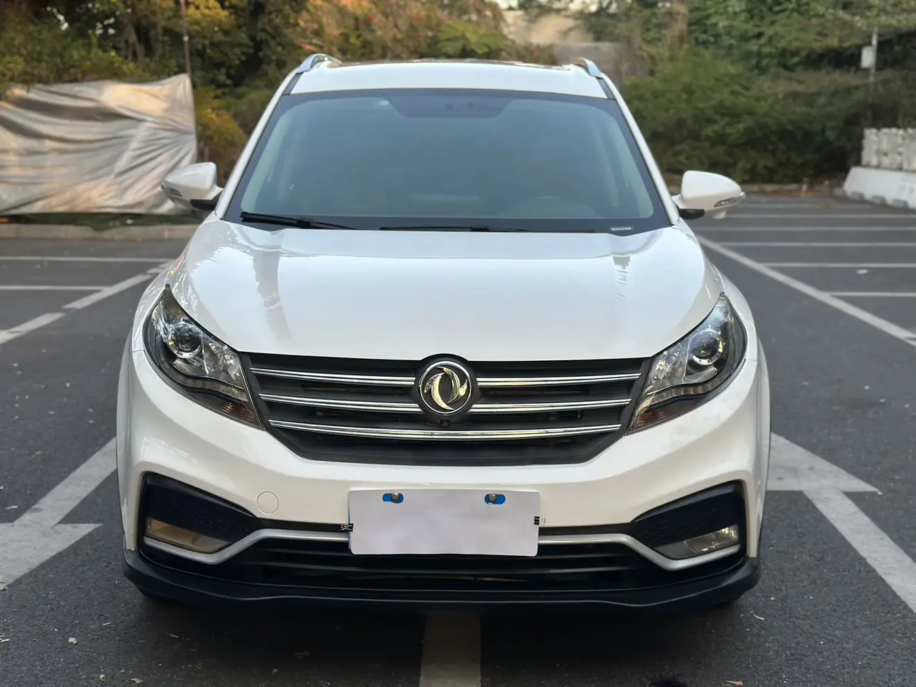 Dongfeng Fengon 580  из Китая