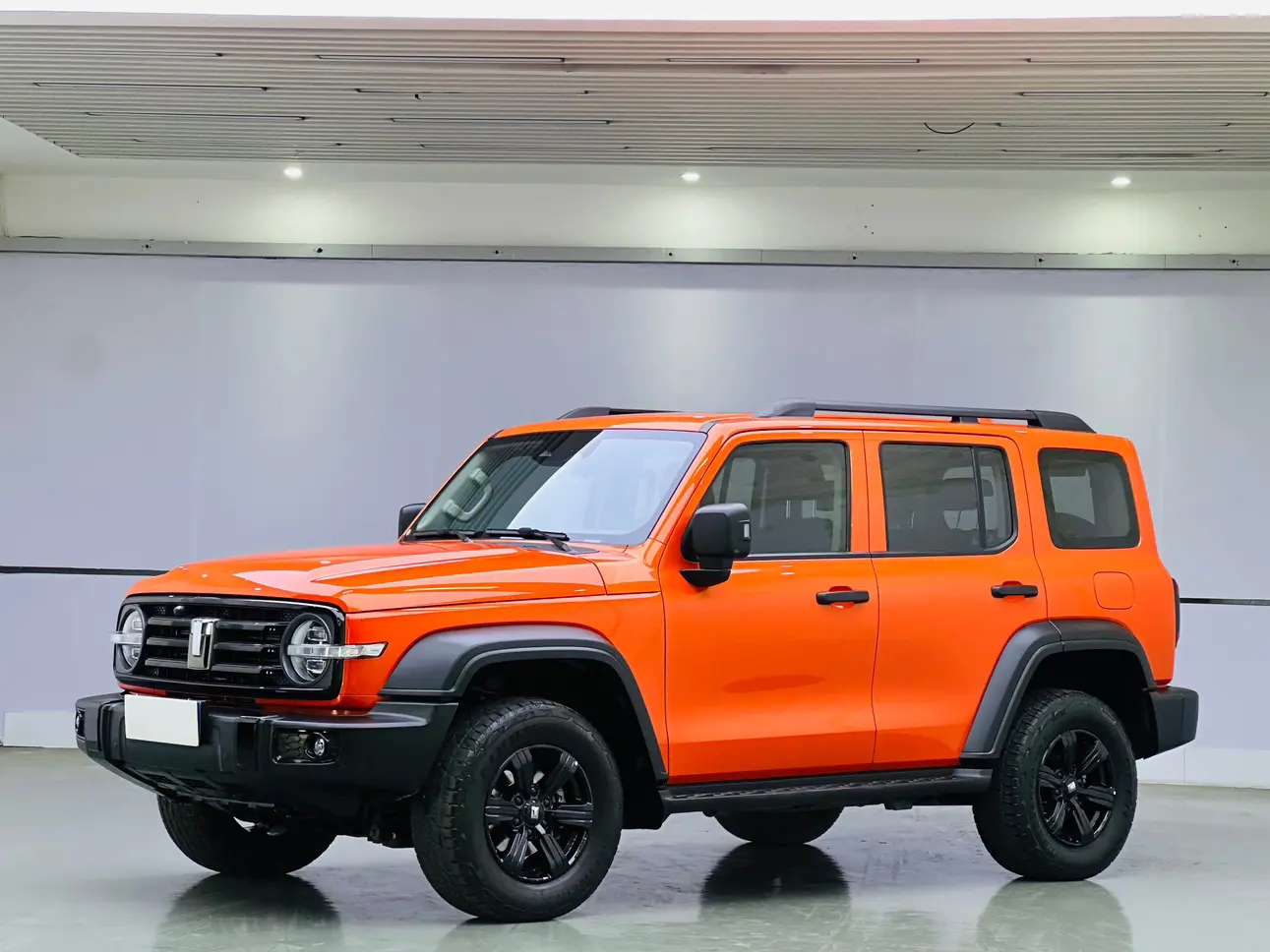 Tank 300  из Китая