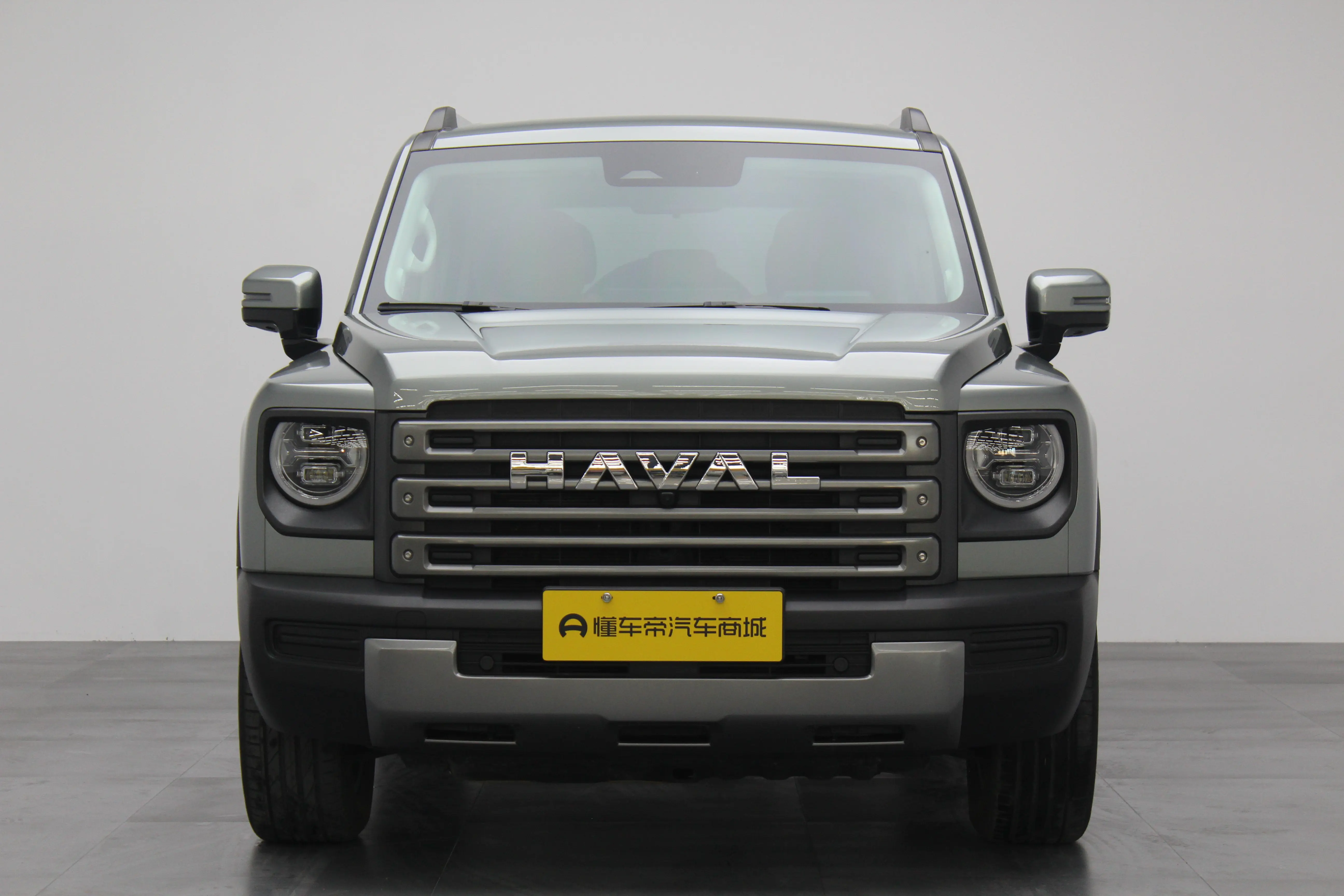 Haval Raptors PHEV  из Китая