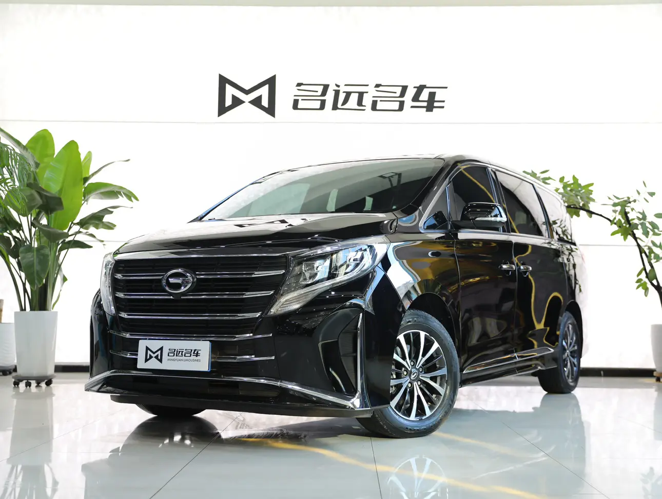 GAC Trumpchi M8  из Китая