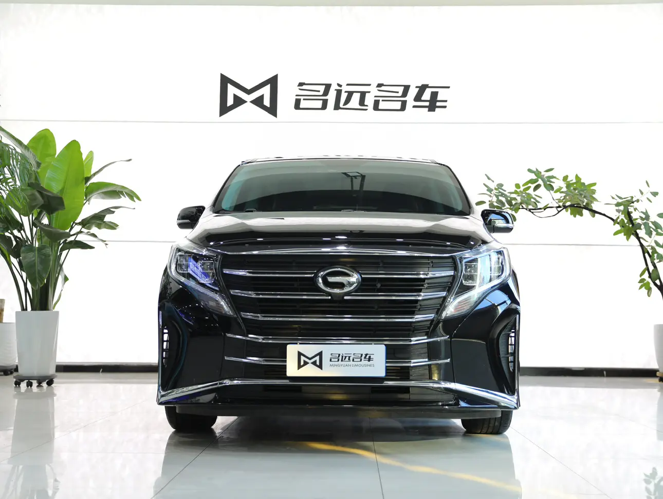 GAC Trumpchi M8  из Китая