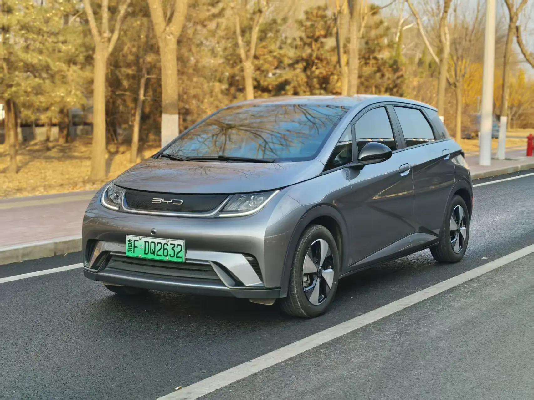 BYD Dolphin  из Китая