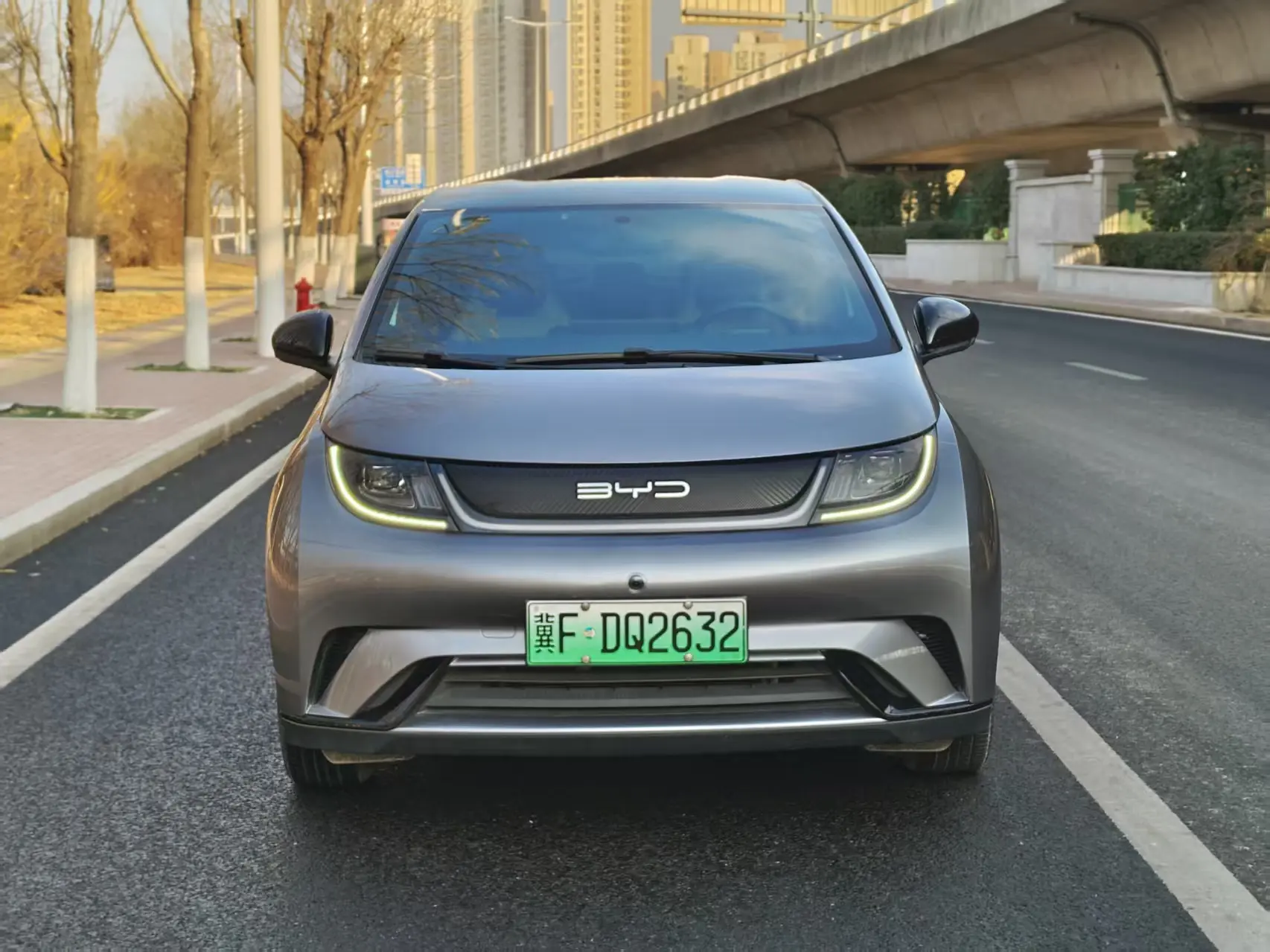 BYD Dolphin  из Китая