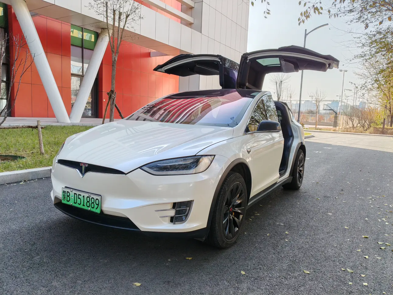 Tesla Model X  из Китая