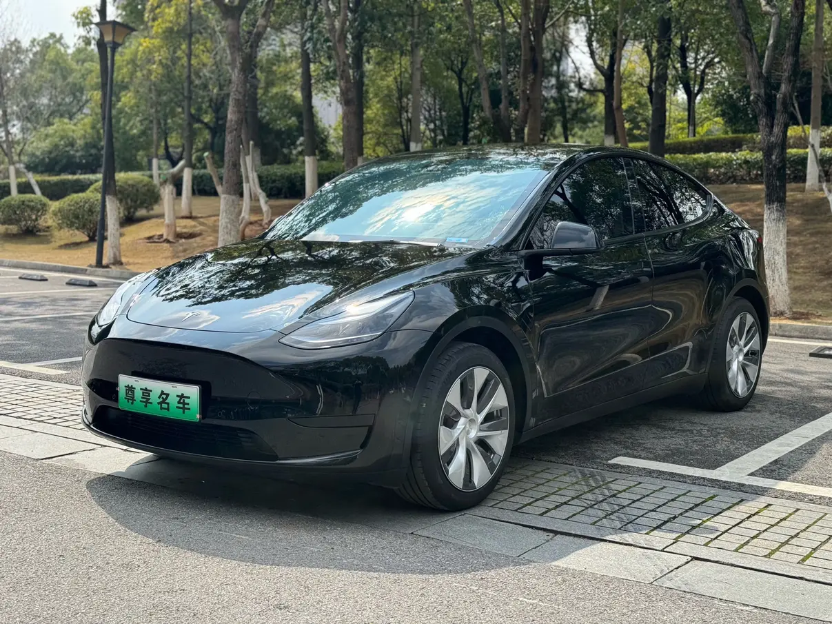 Tesla Model Y  из Китая