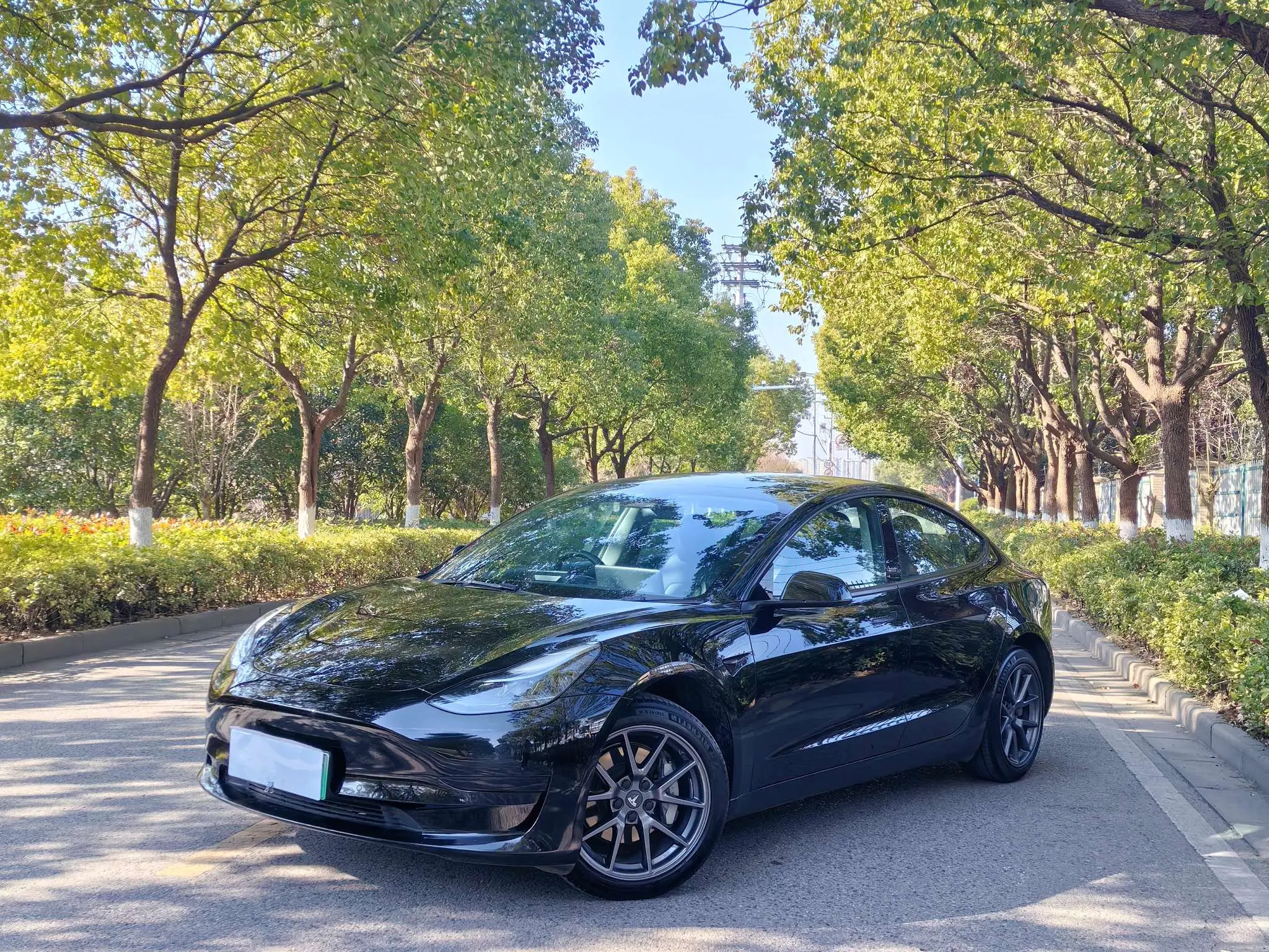 Tesla Model 3  из Китая