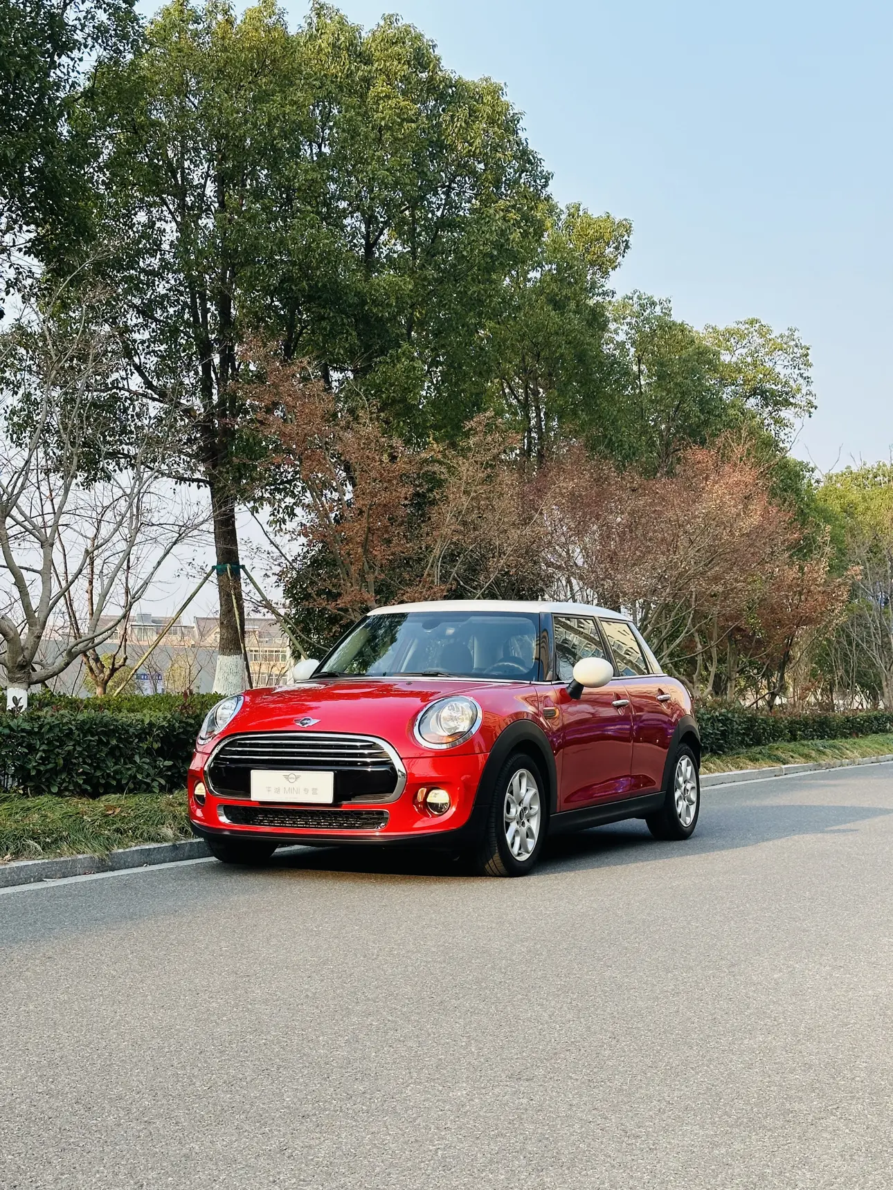 MINI MINI  из Китая