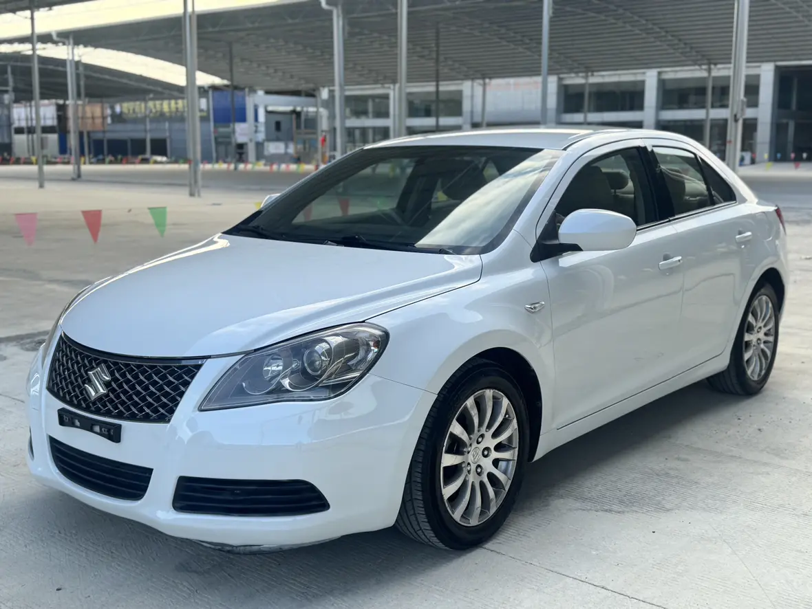 Suzuki Kaisersei  из Китая