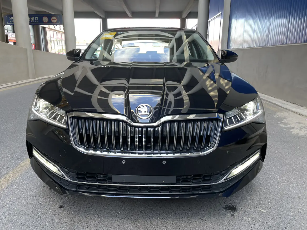 Skoda Speedy  из Китая