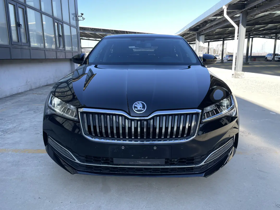 Skoda Speedy  из Китая