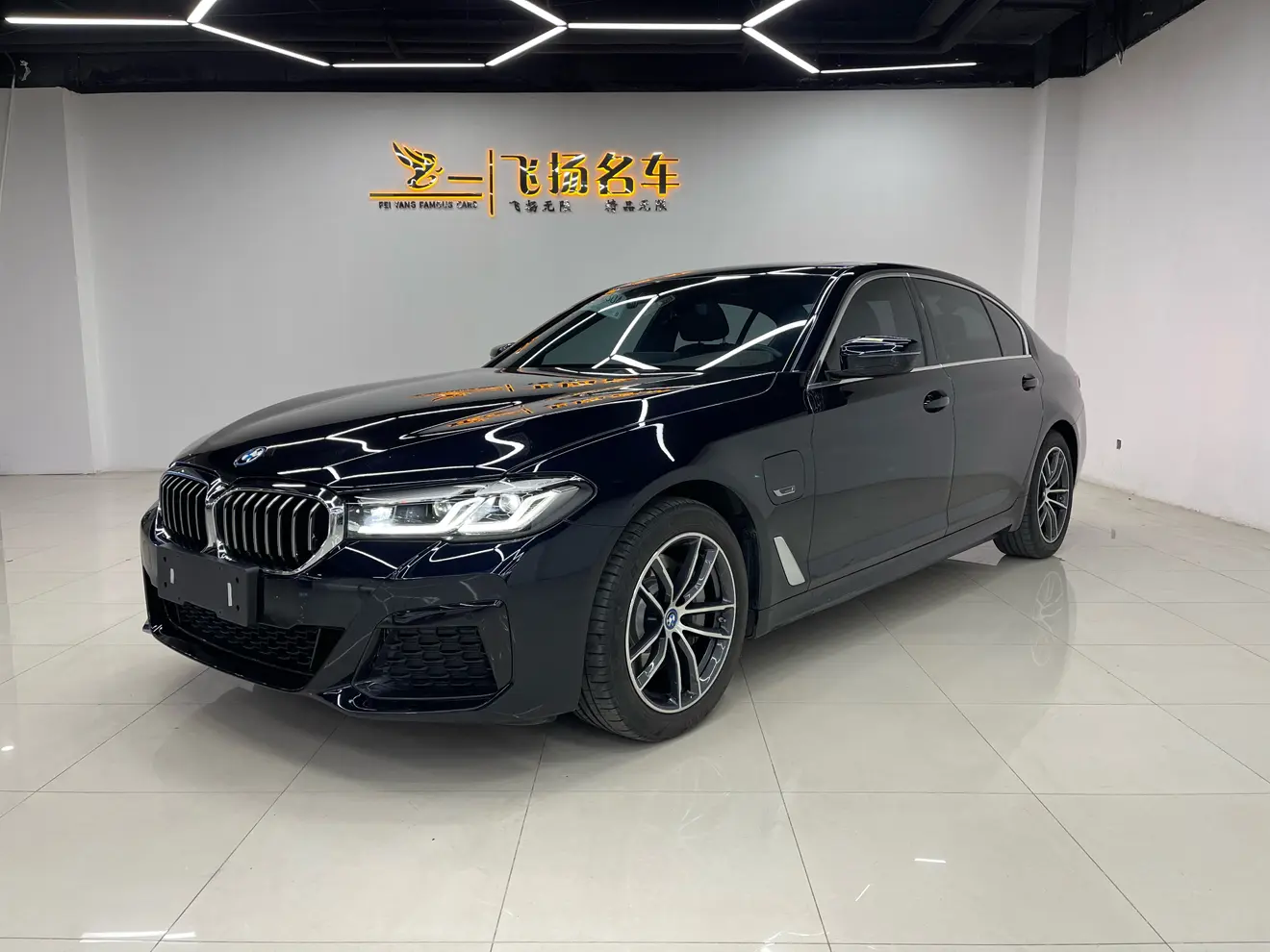 BMW 5 Series PHEV