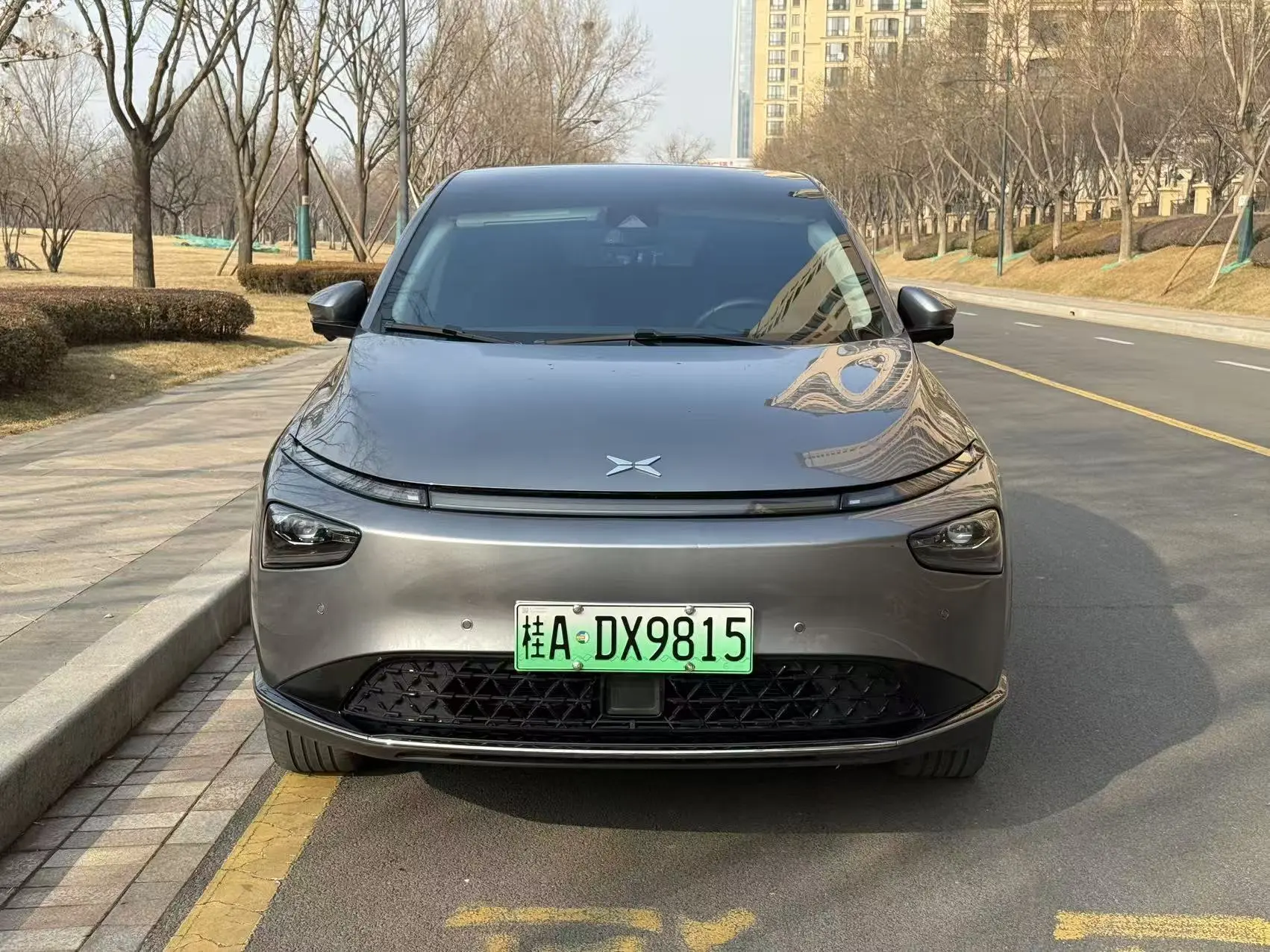 Xpeng G3  из Китая