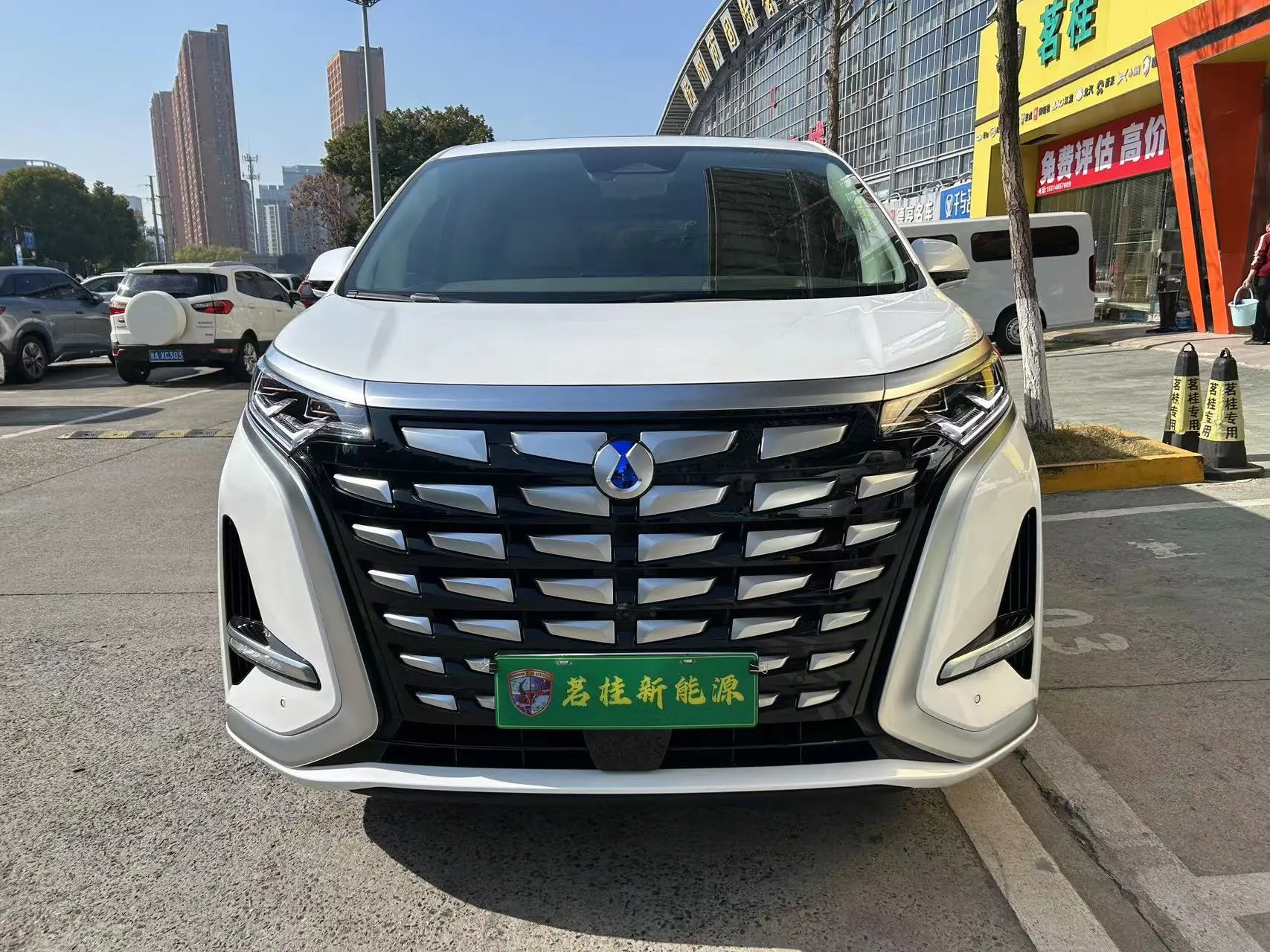 Denza D9 DM  из Китая