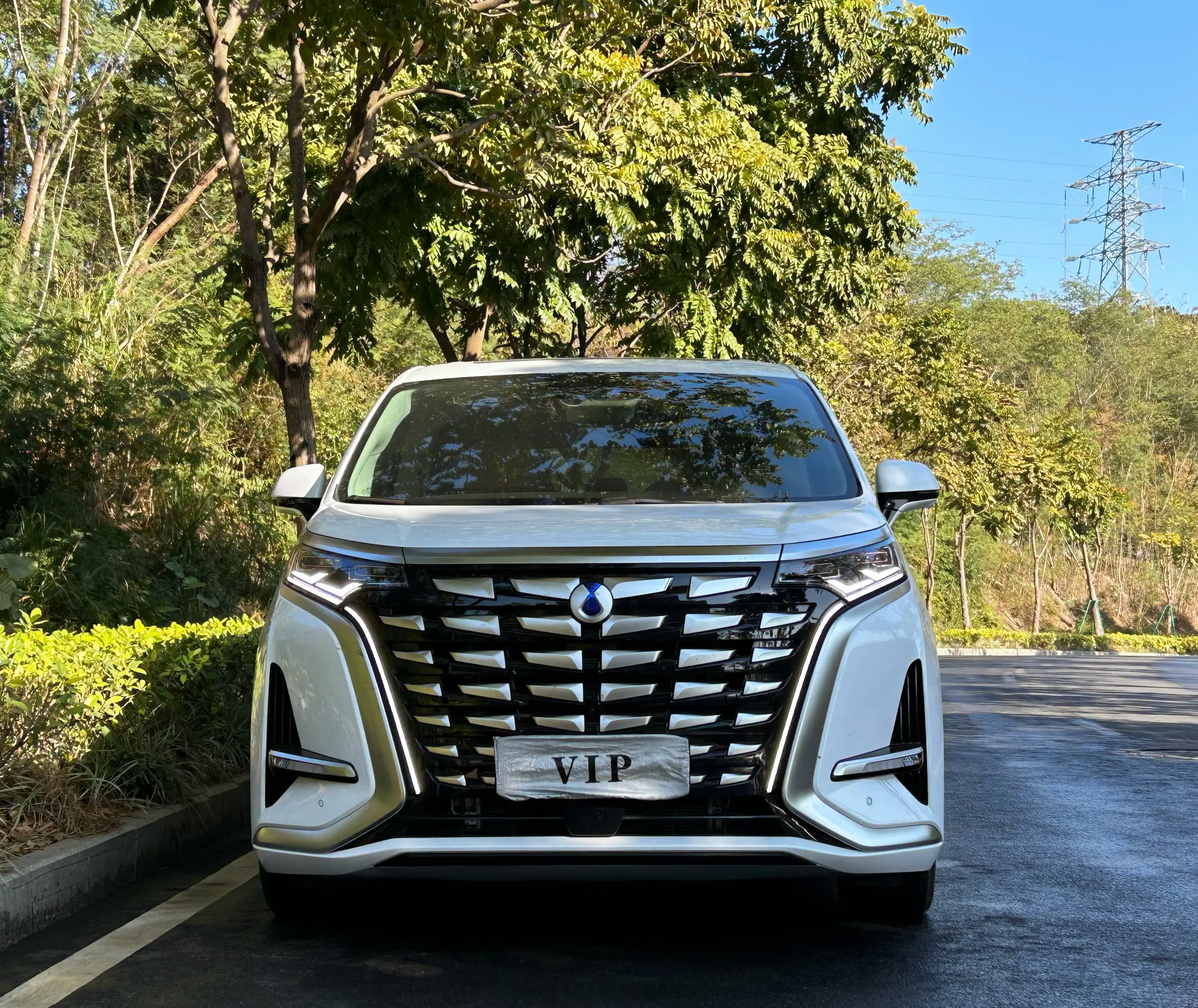 Denza D9 DM  из Китая