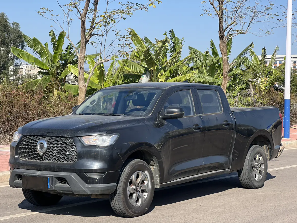 Great Wall Gun  из Китая