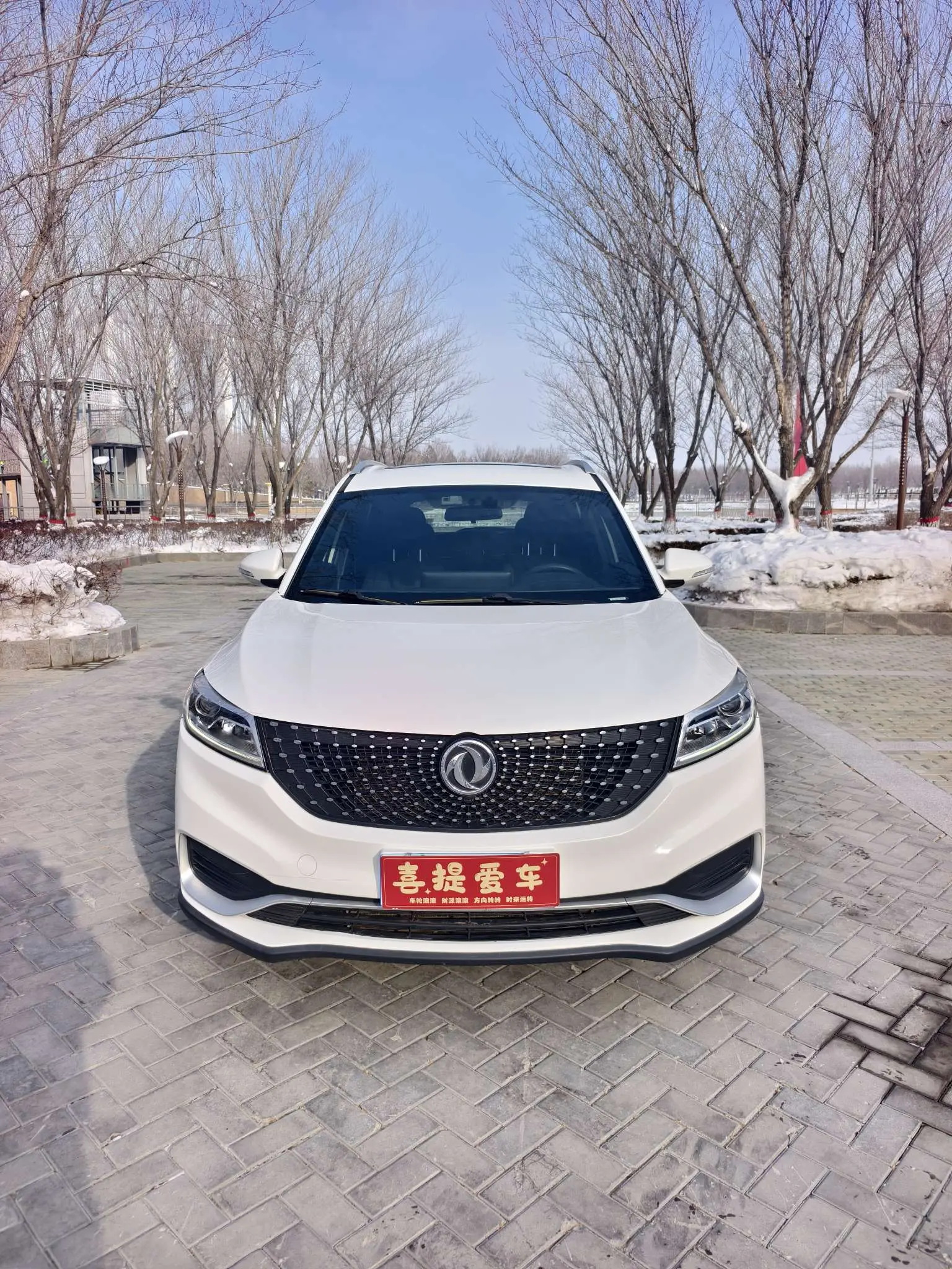 Dongfeng Fengguang 580Pro  из Китая