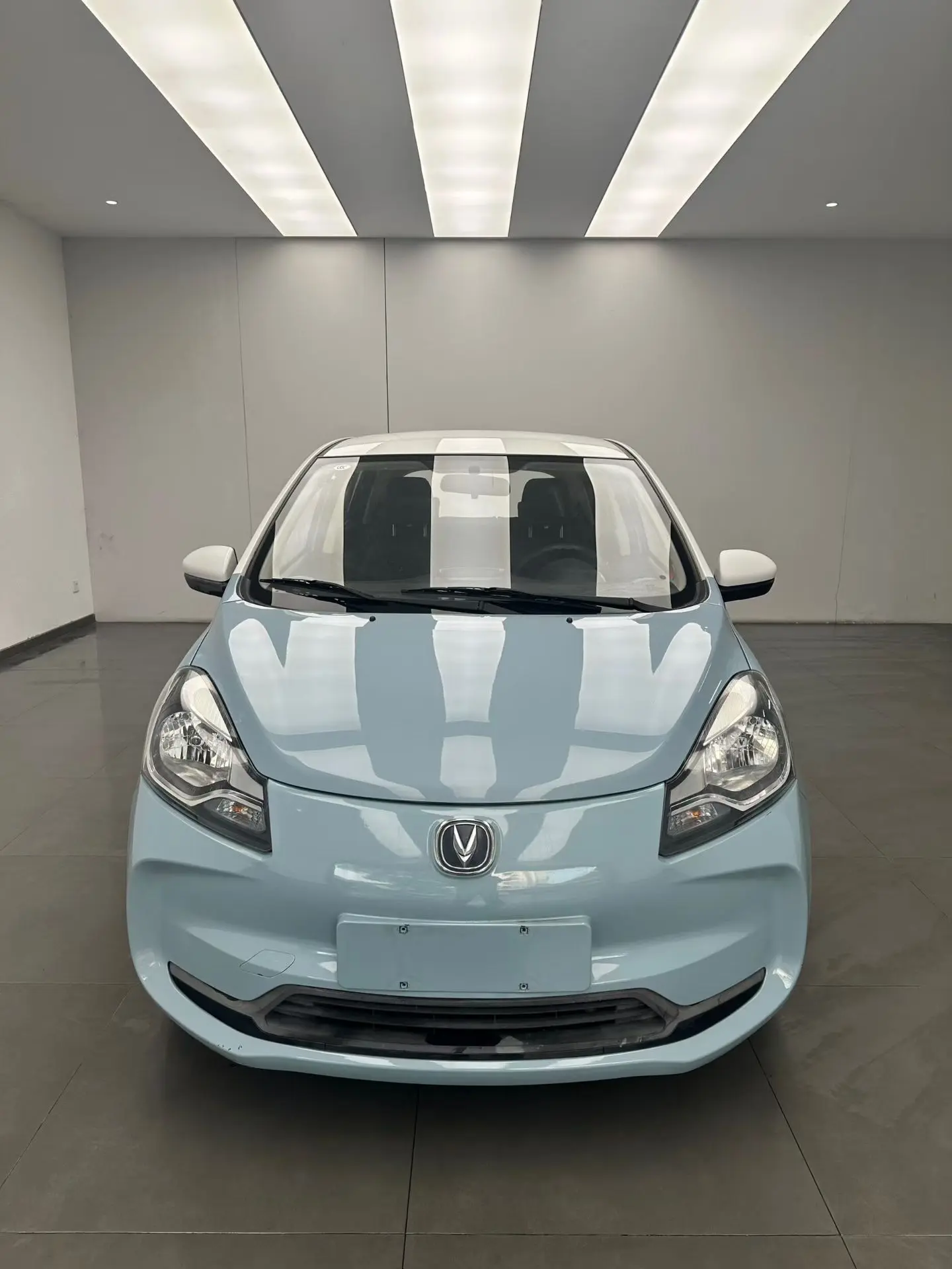 Oshan Benben E-Star  из Китая