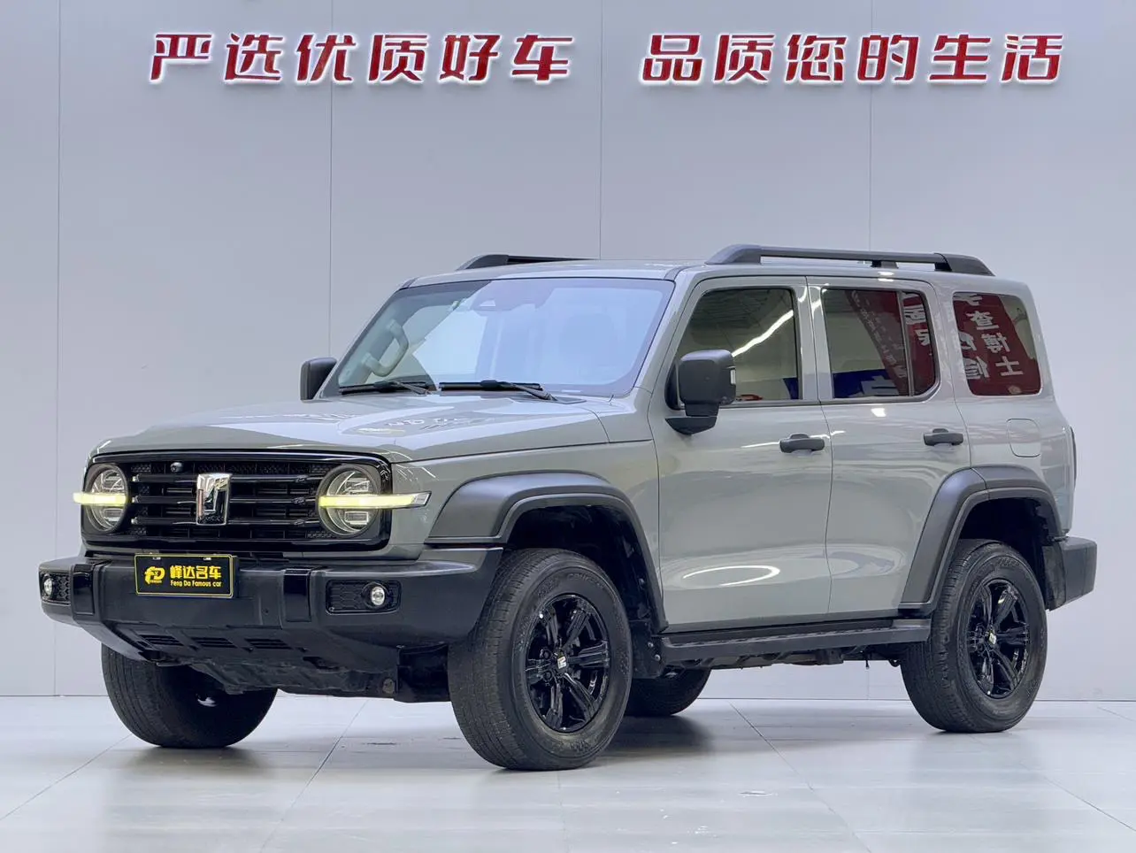 Tank 300  из Китая